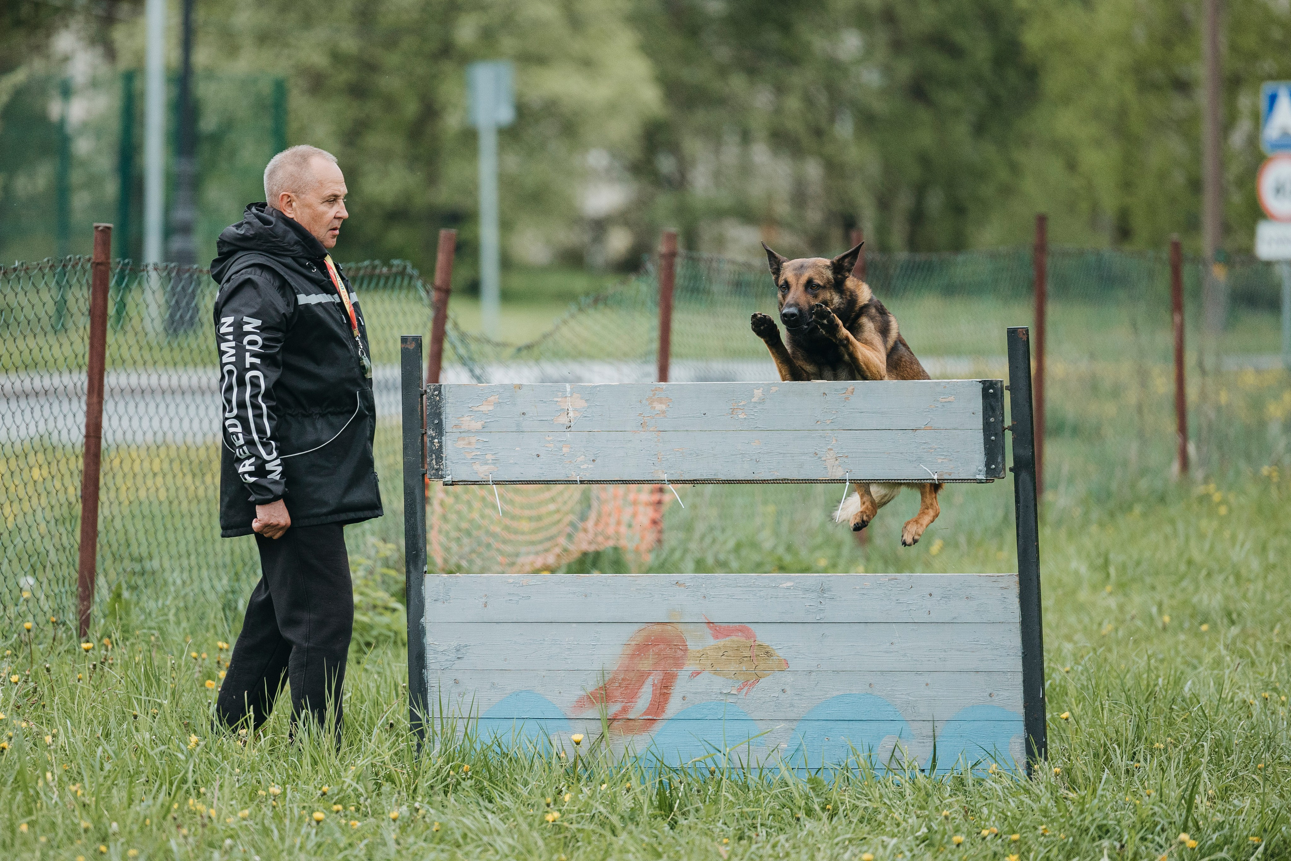 26.05.25 г. Пушкин квалификационные соревнования. Фотограф-анималист Анна Маринич