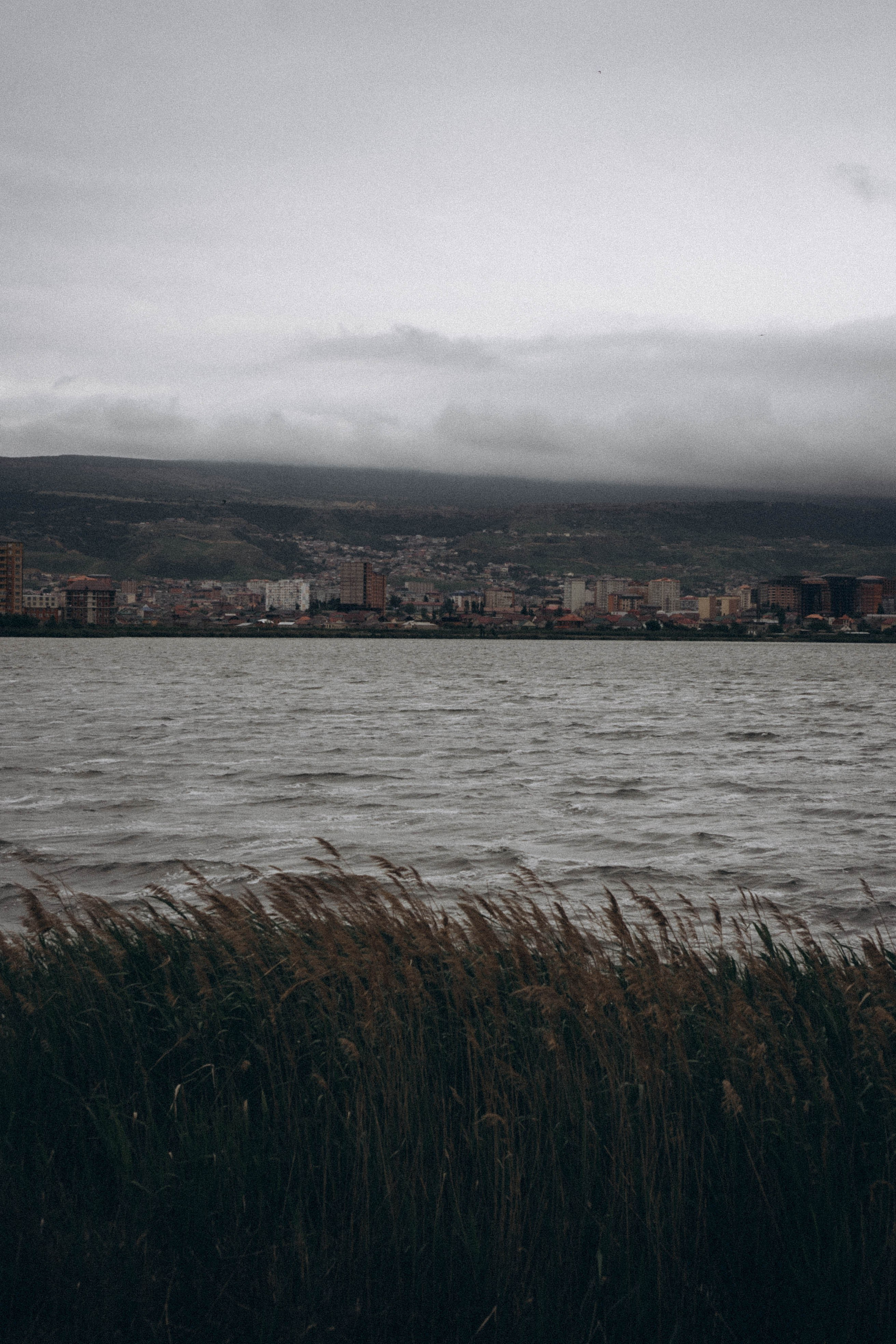 Кавказ. Профессиональный фотограф, Санкт-Петербург — Виктория Богомолова