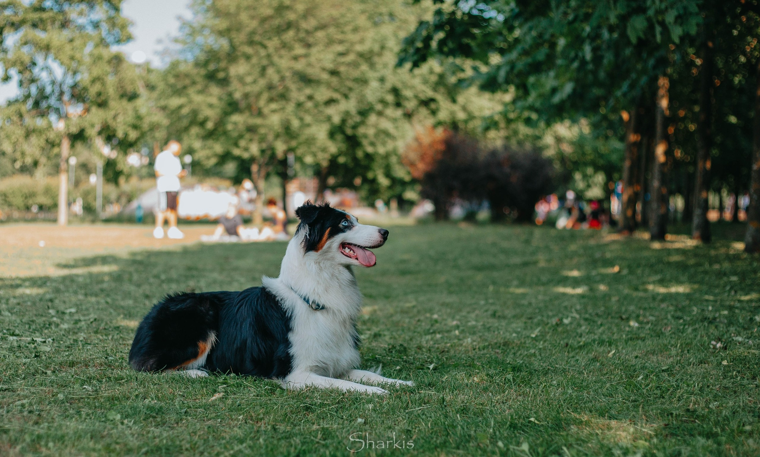 Гелий и Тсахик. Фотограф Елизавета Филатова