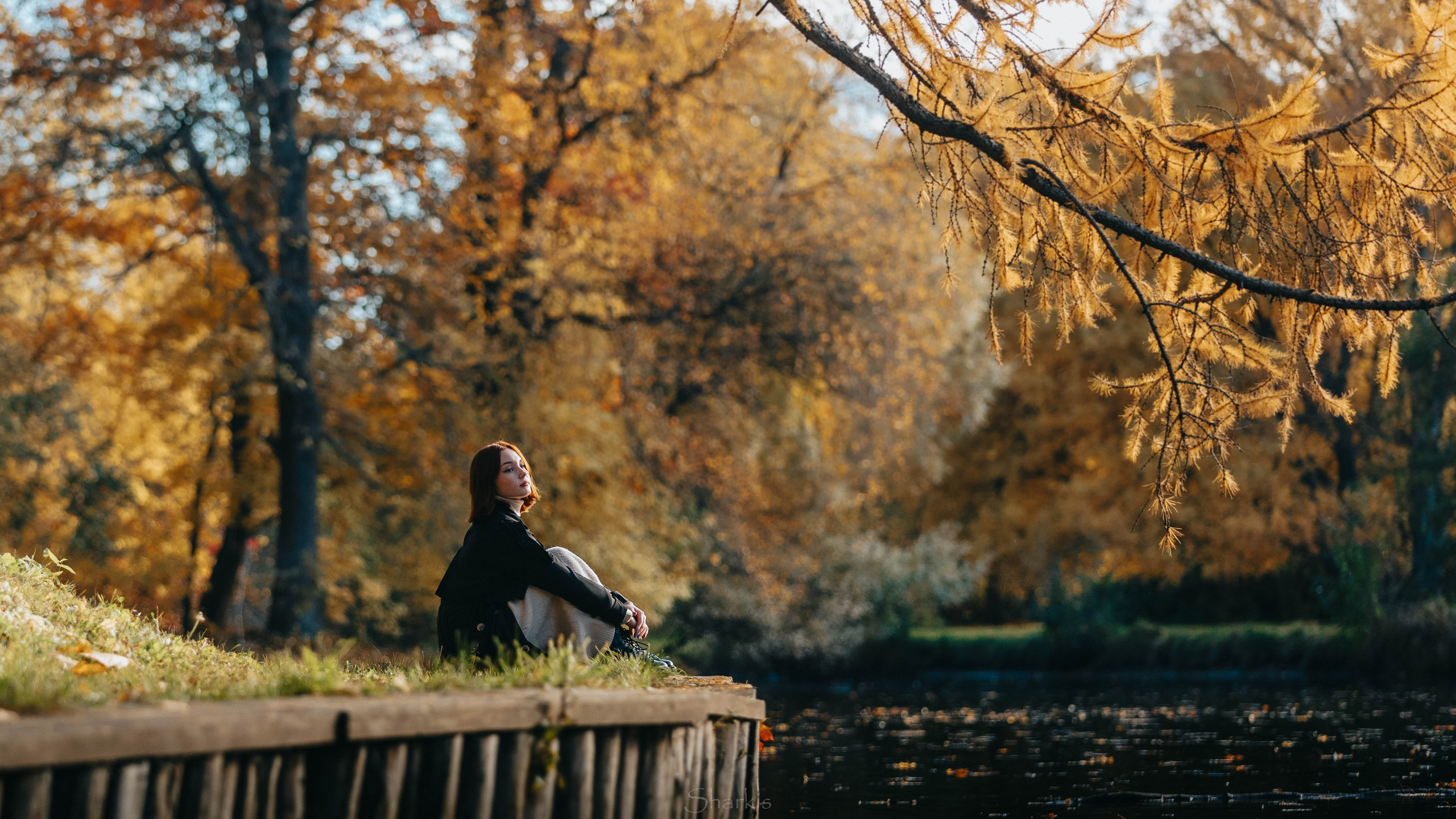 Света. Главная