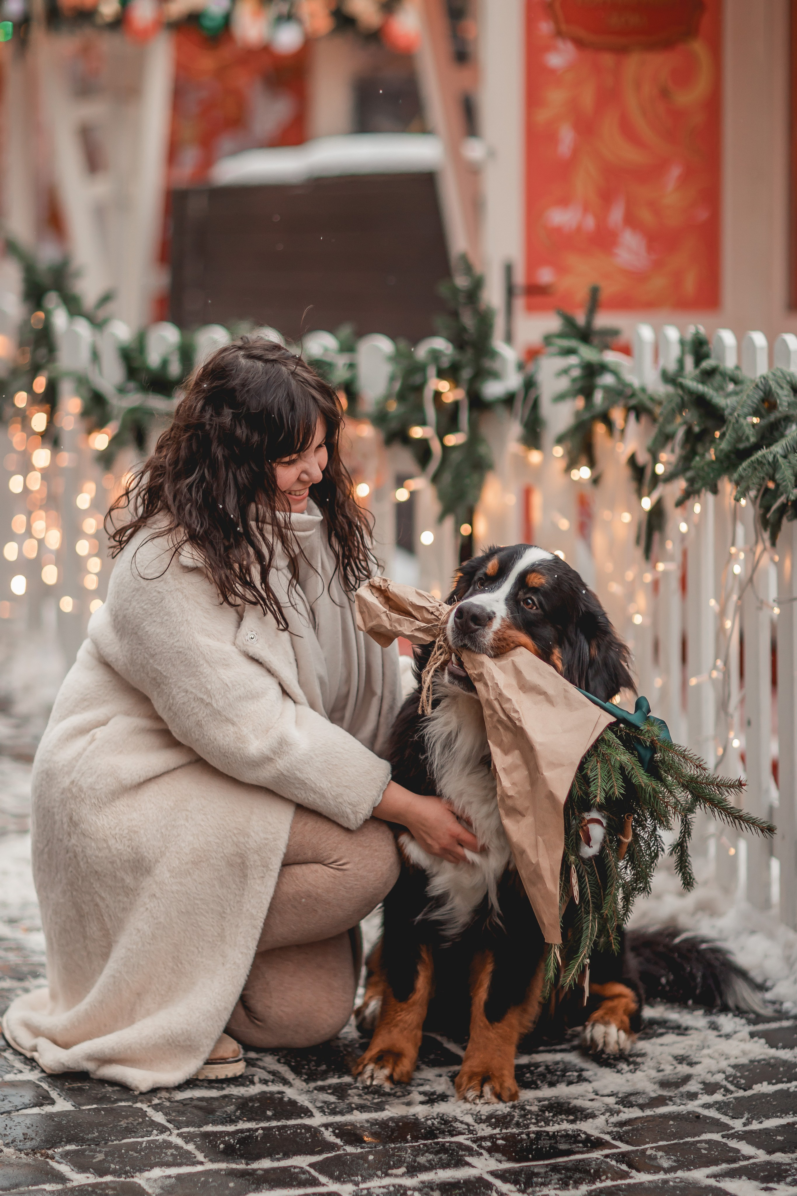 Татьяна и Терри. Семейный фотограф анималист Мария Крючкова