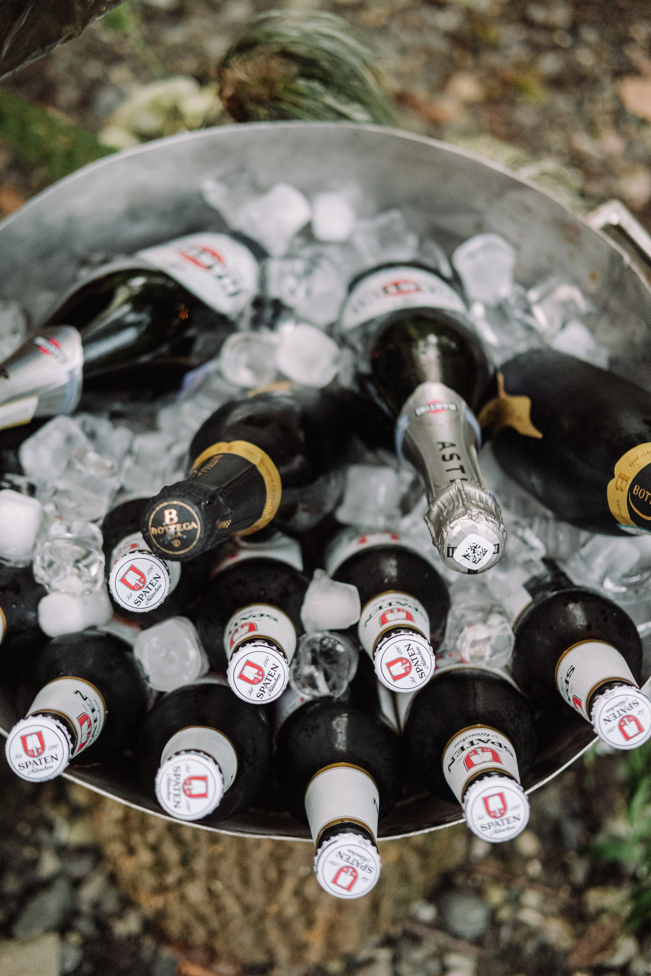 Кот и Дракон. Свадебный Видеограф Фотограф в Сочи