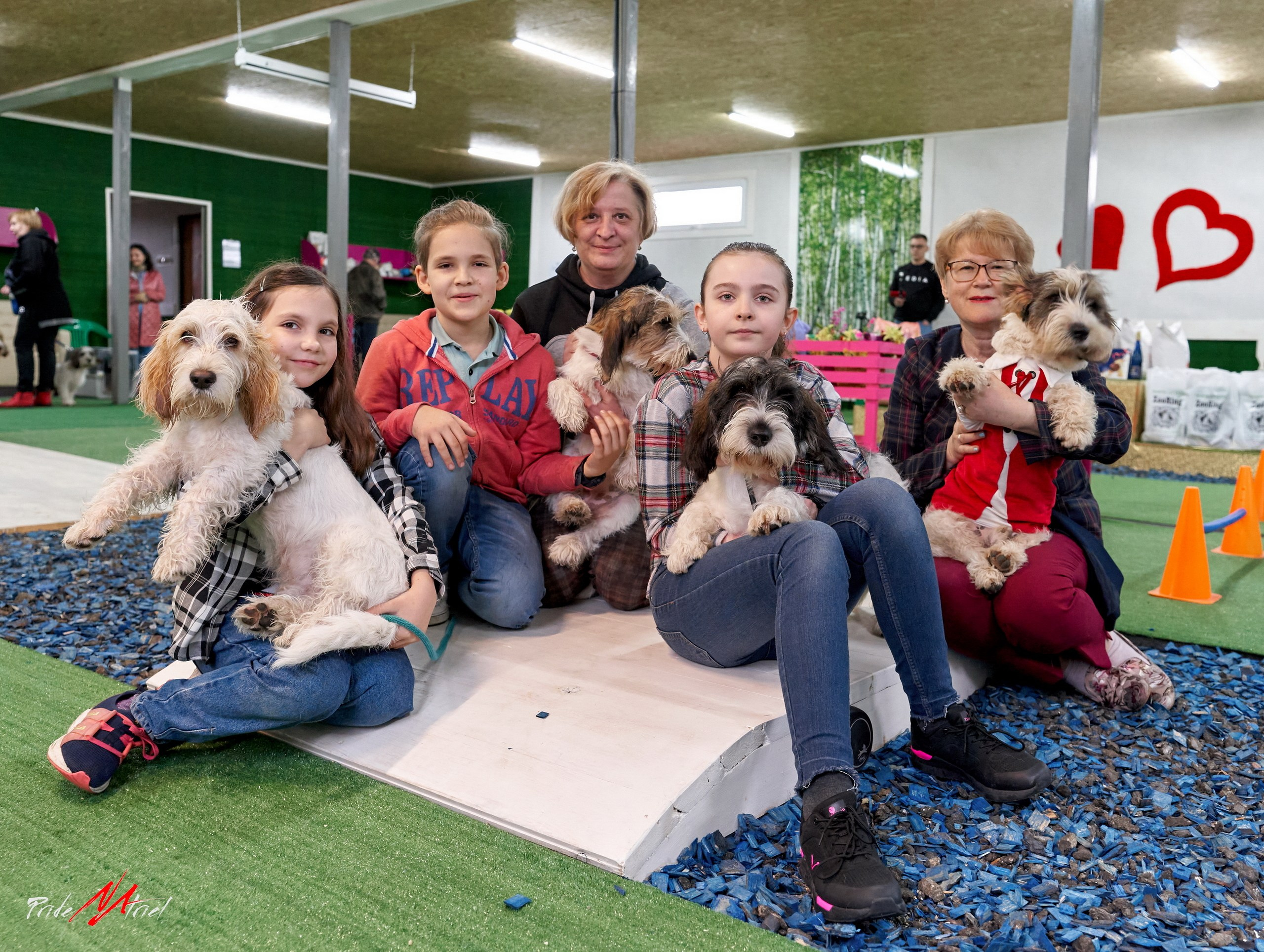 Мероприятия с собаками — галерея NATRIEL