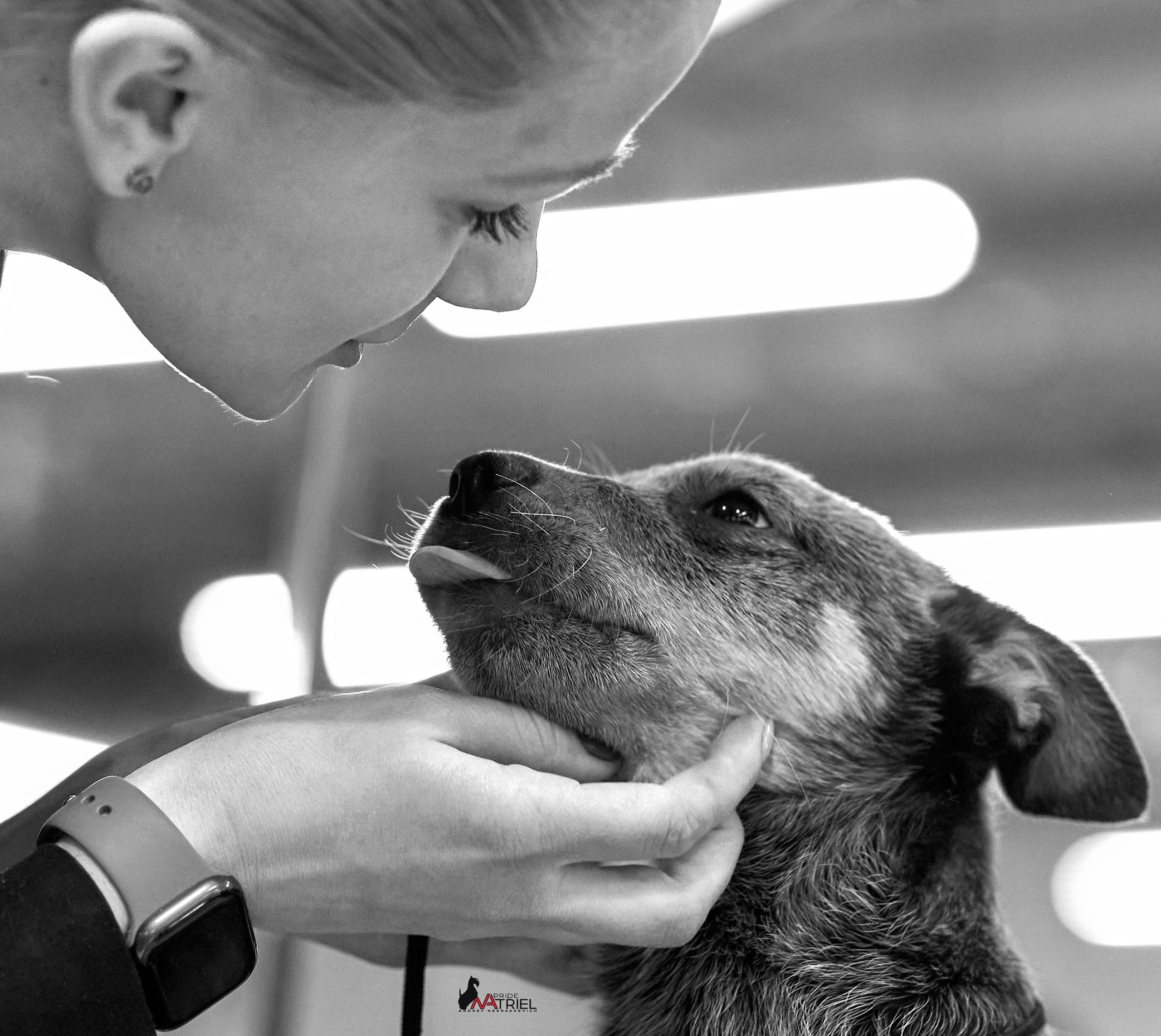 Картинки с выставки — галерея NATRIEL