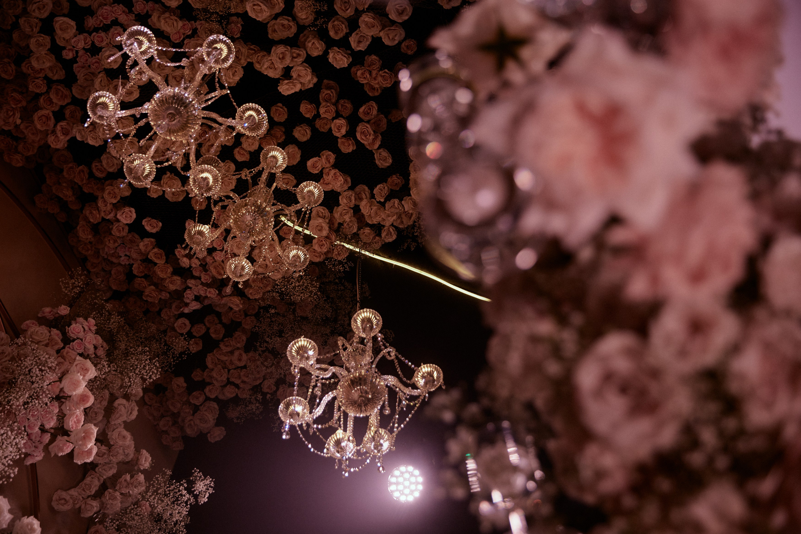 INFINITE LOVE. Дмитрий Мазуркевич: Профессиональный Репортажный Фотограф