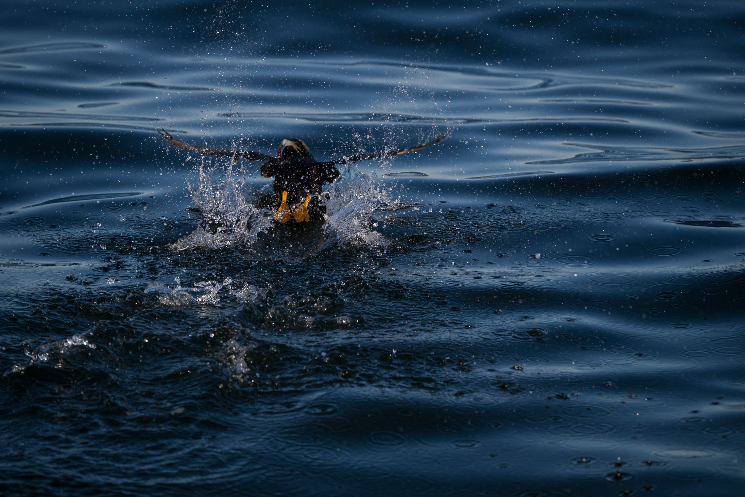 Камчатка. Портретный фотограф в Челябинске Катерина Руди