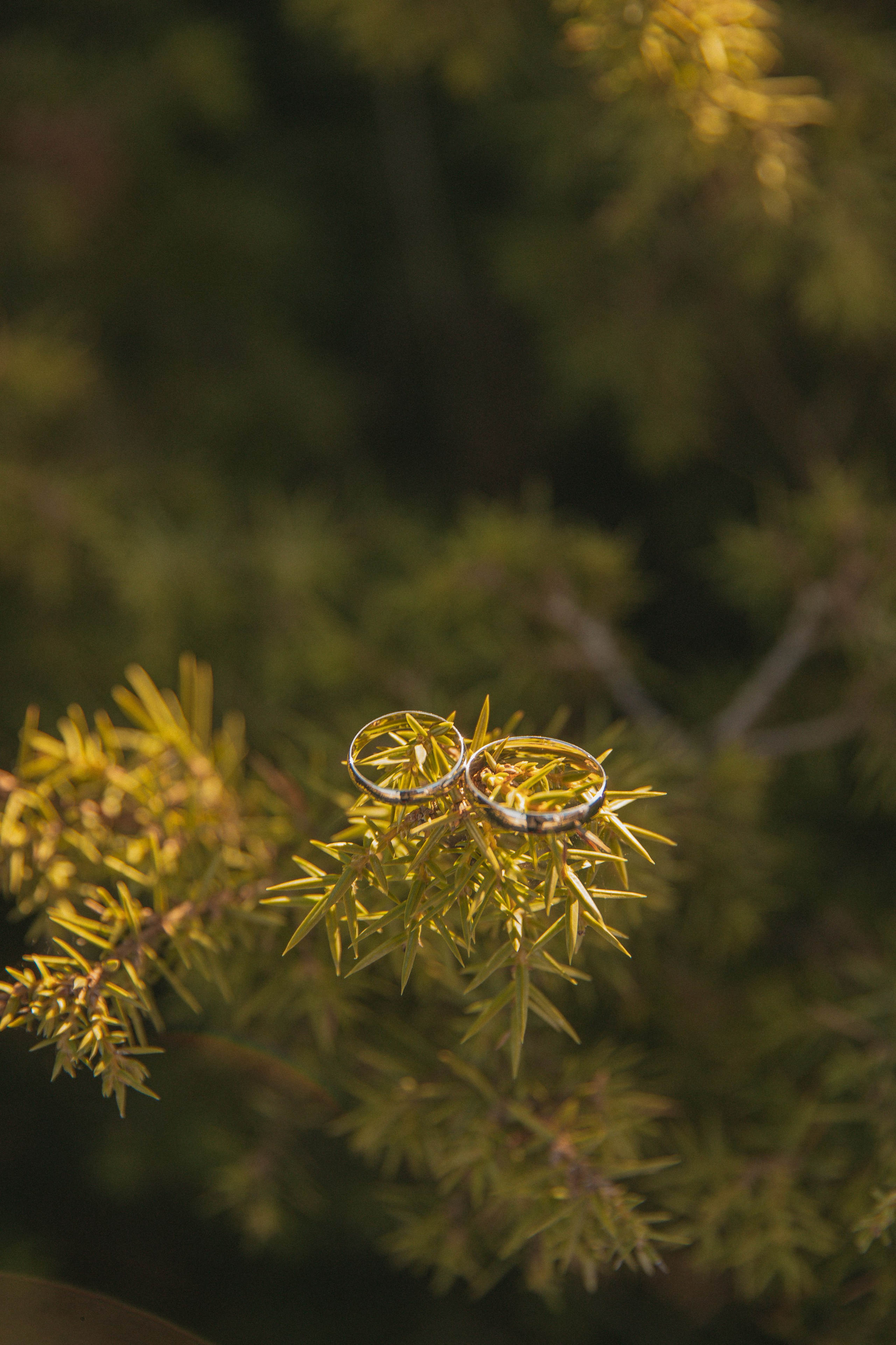 Прогулка на 400 ступеней