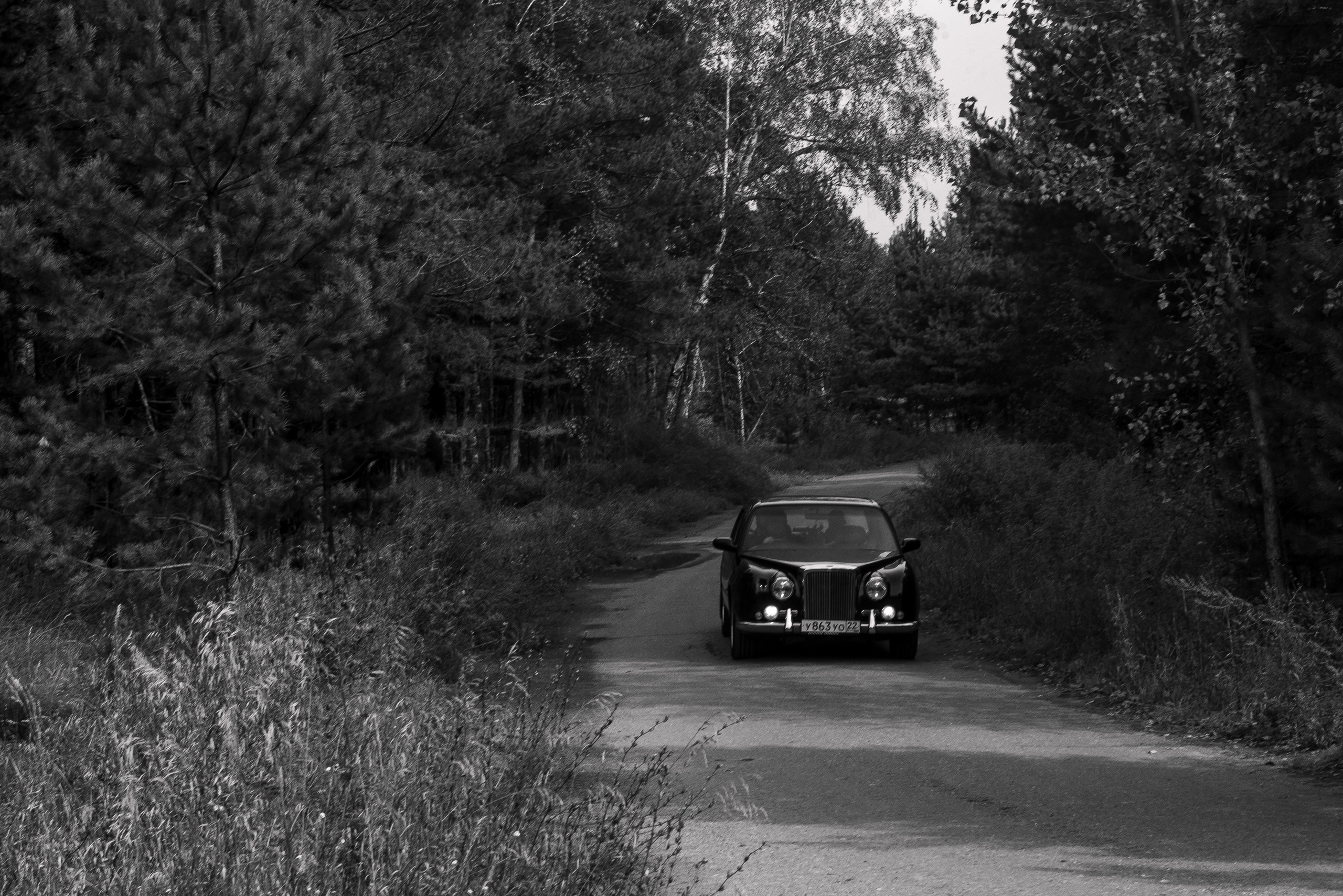 Родион и Дарья. Свадебный и портретный фотограф на Алтае Кузнецова Людмила