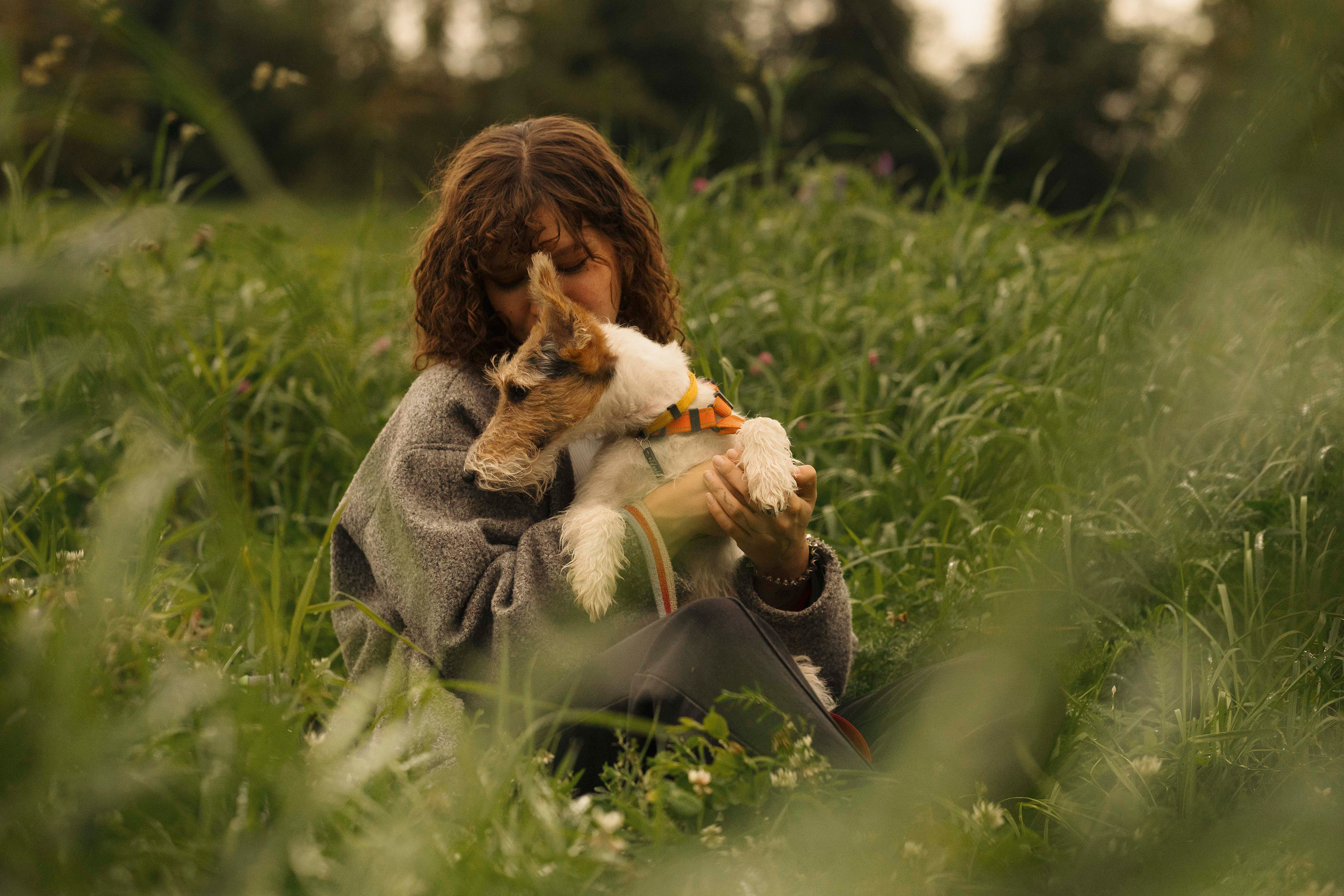 Мартин. Фотограф- анималист Александра Матвеева