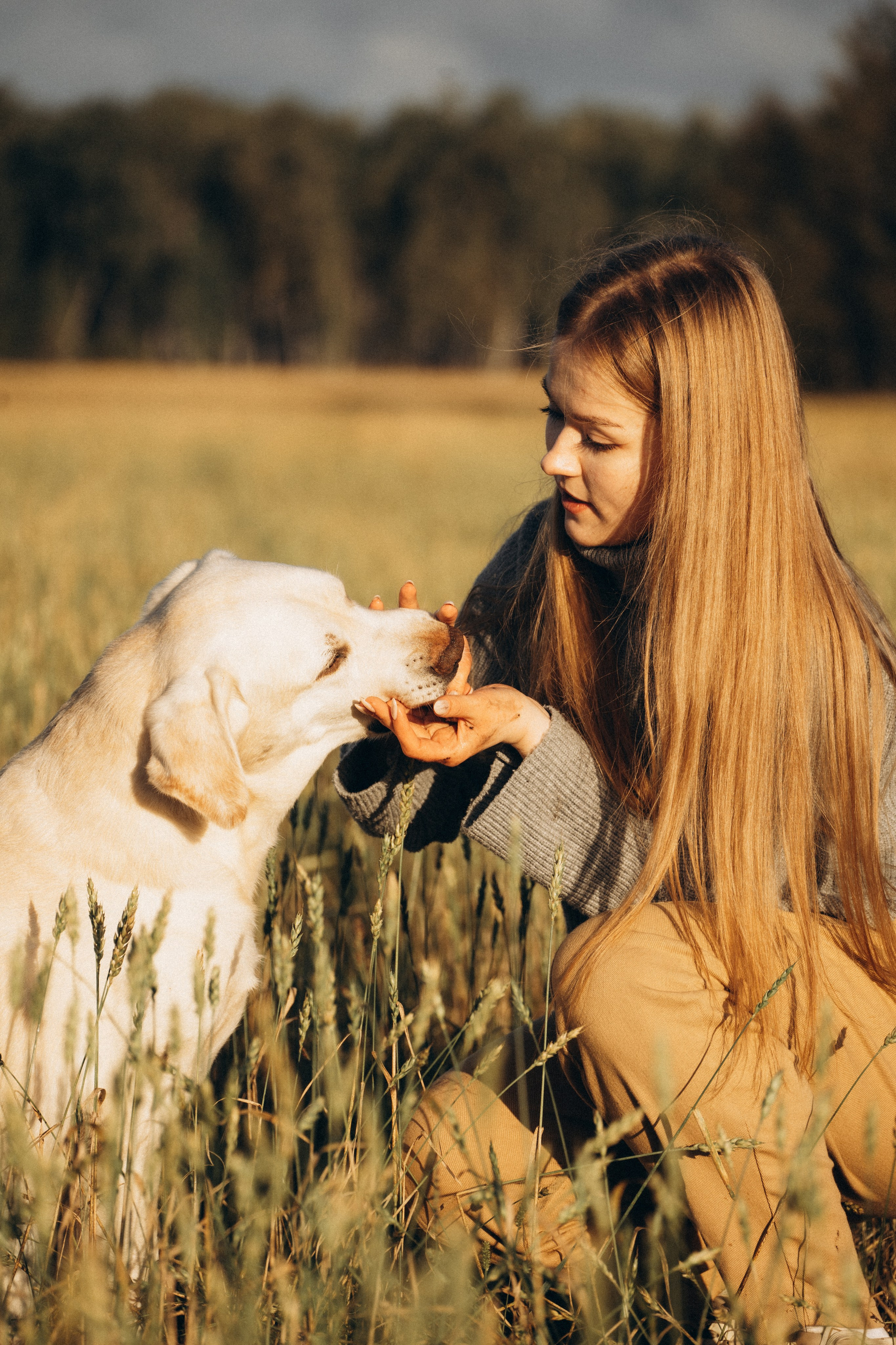 Дана и Арчи. Фотограф-анималист Анастасия Большакова