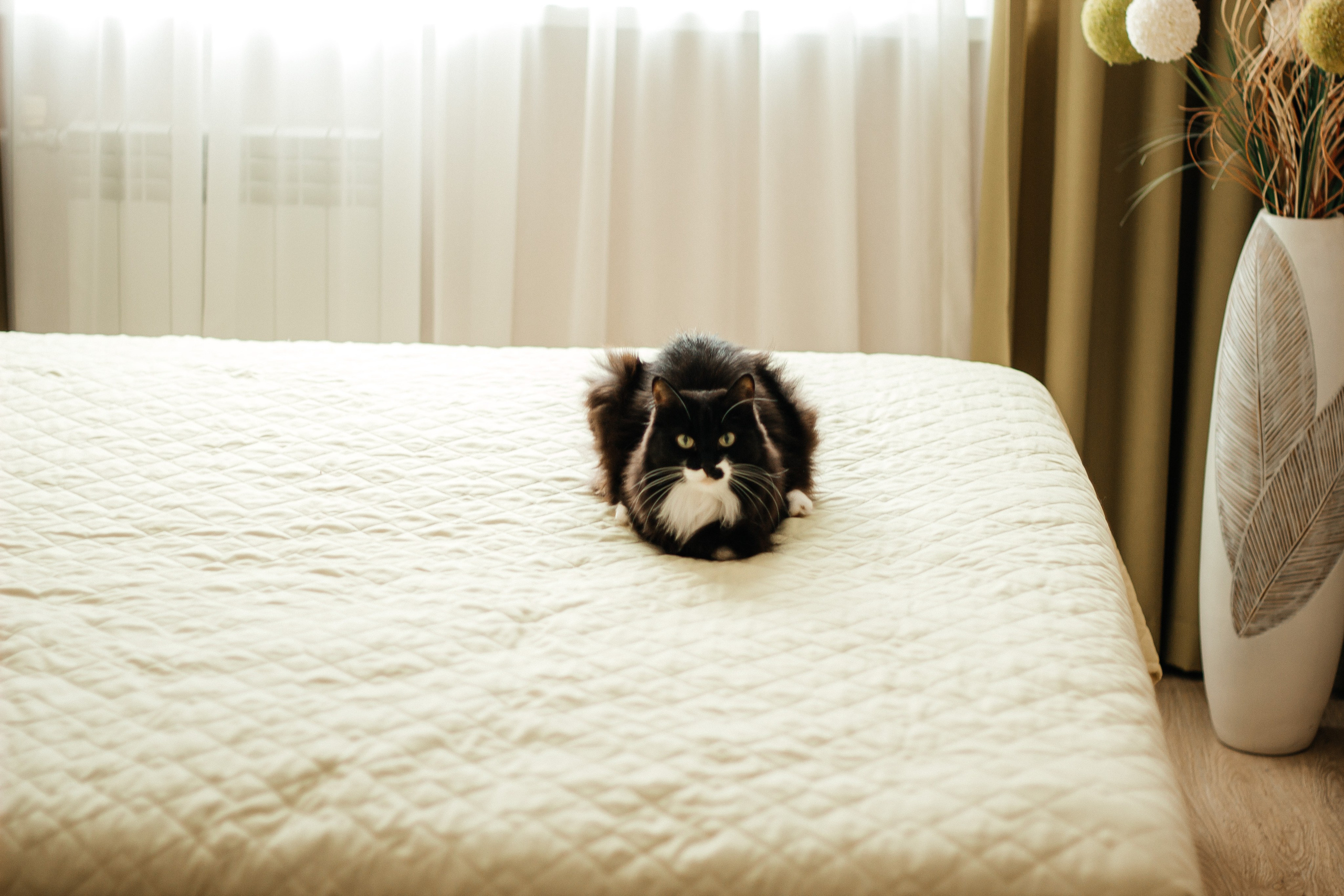 09.08.2024. Свадебный и семейный фотограф в Нижневартовске Татьяна Мартынова