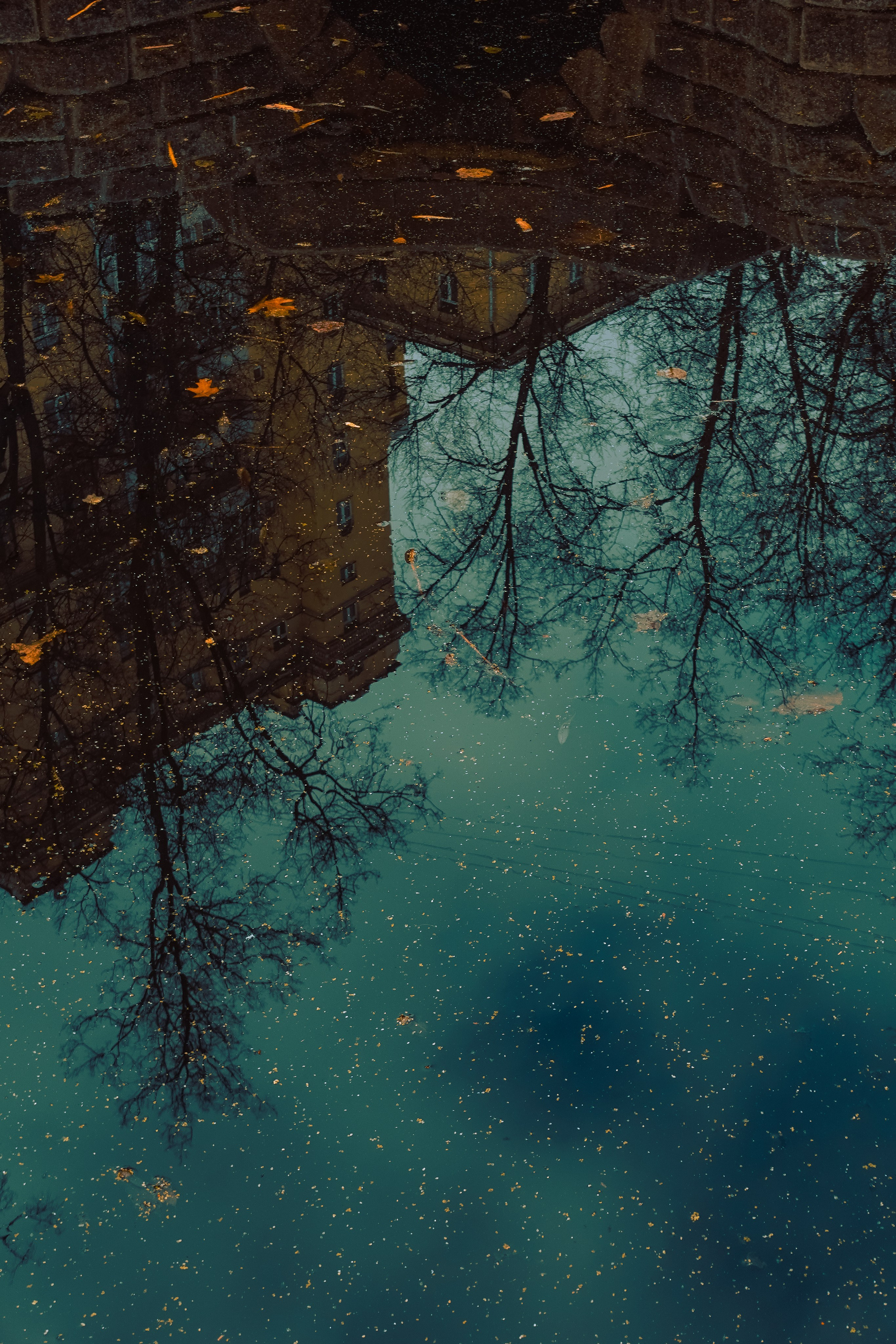 Ботанический сад. Фотограф Алиса Аспер