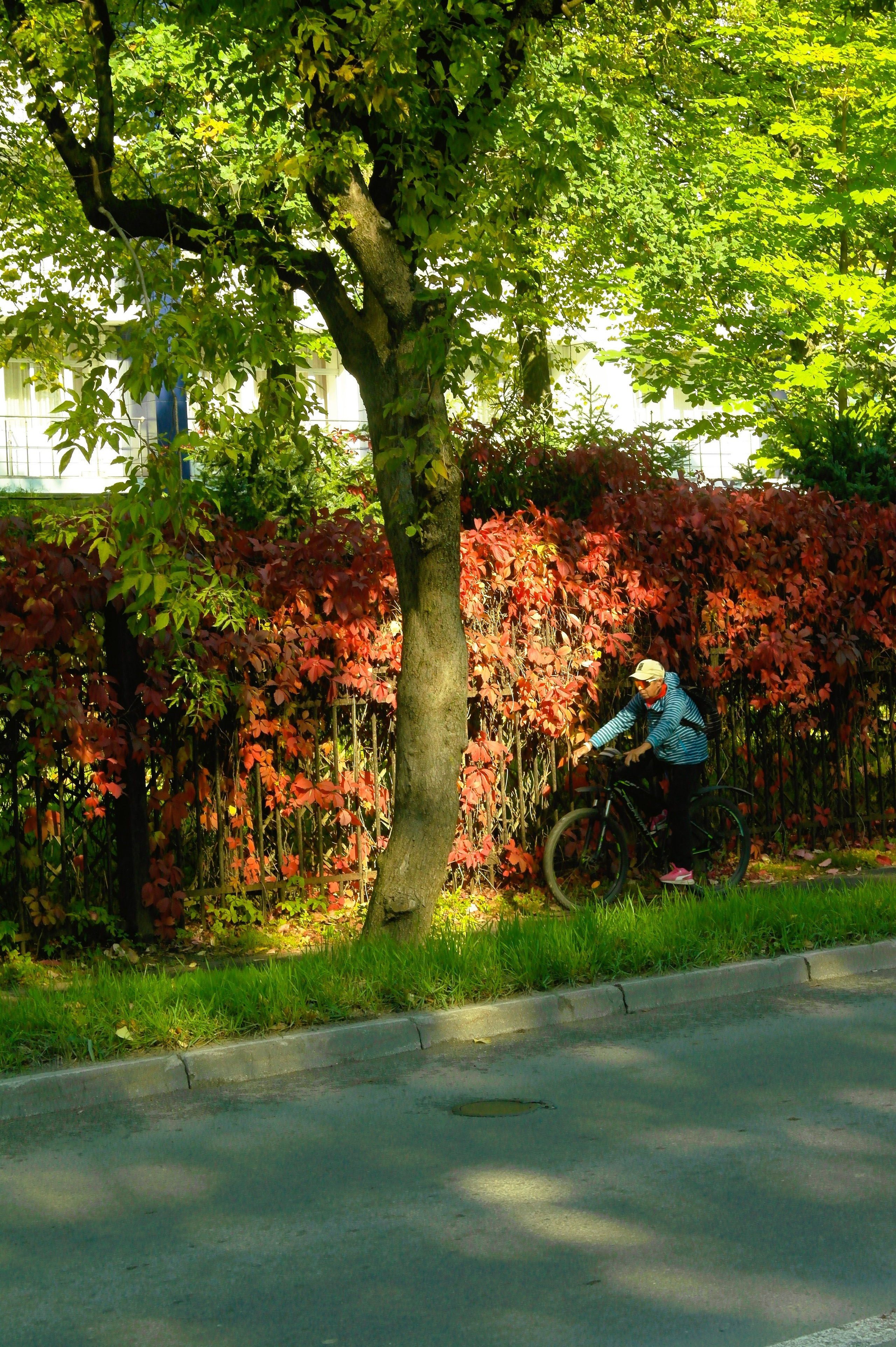 Сентябрь 2025. Den Mirov — Фотограф, Музыкант