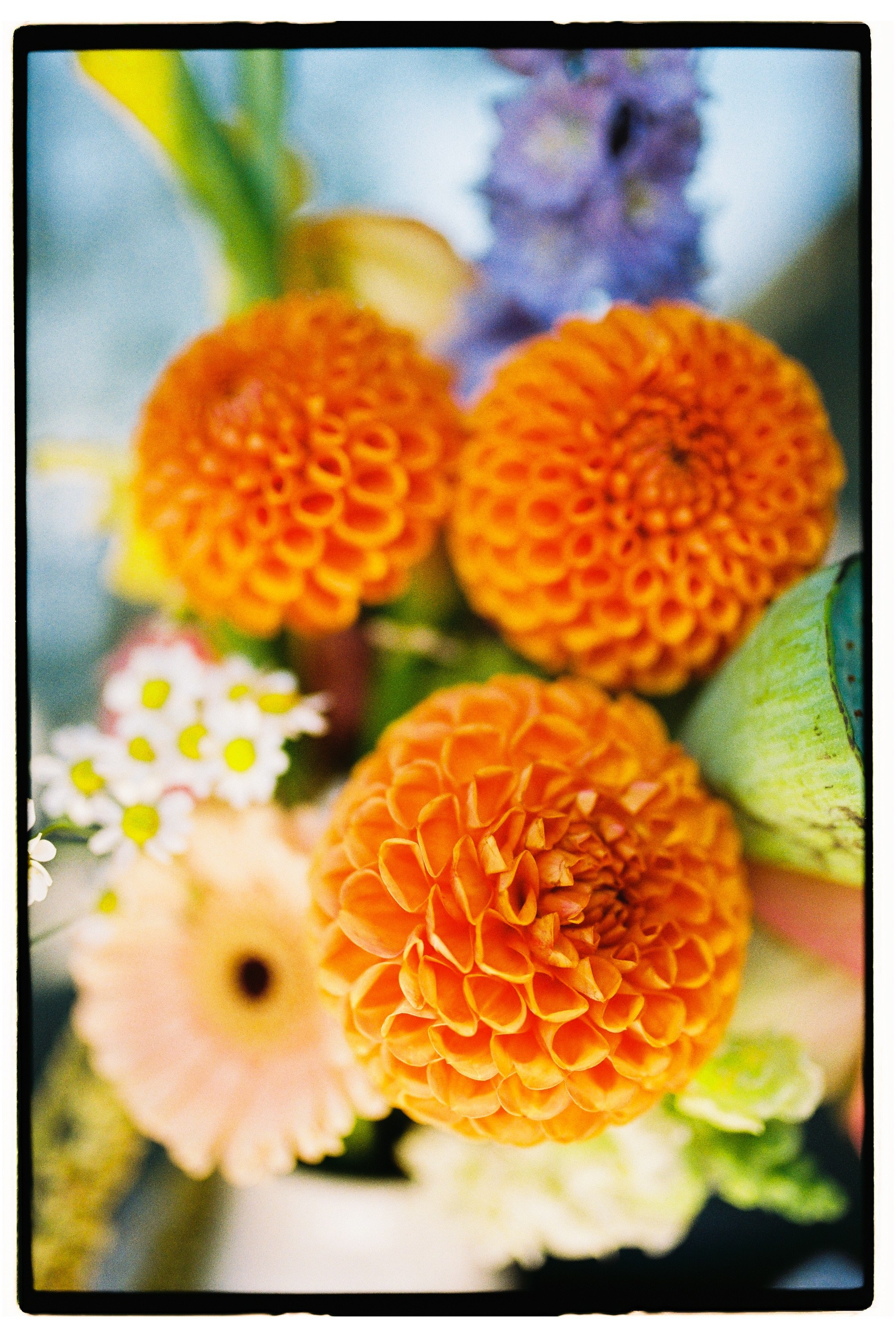 Валентин и София. Свадебный фотограф в Москве Евгений Рыжов