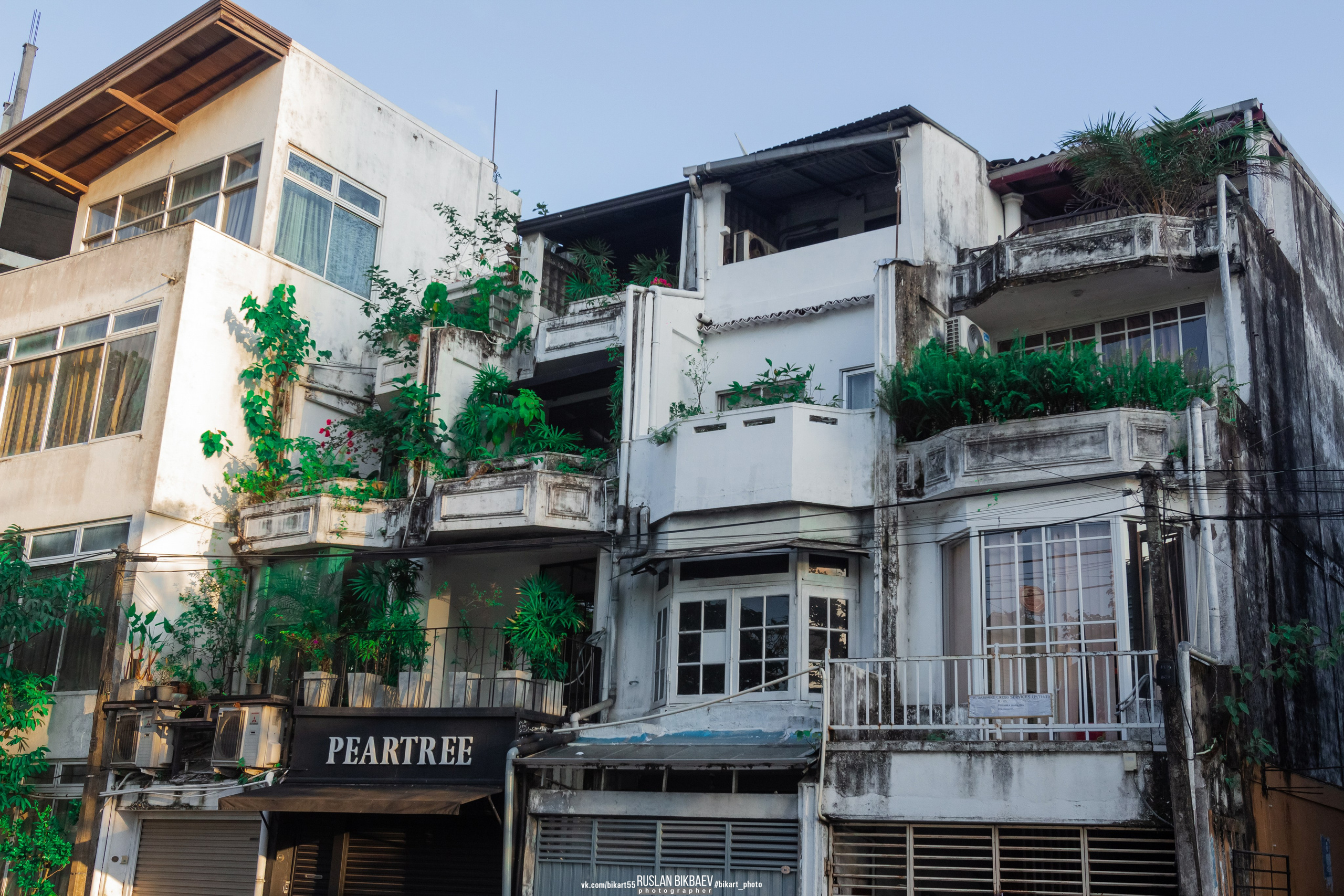 ШРИ-ЛАНКА 2025 / SRI LANKA 2025. Главная