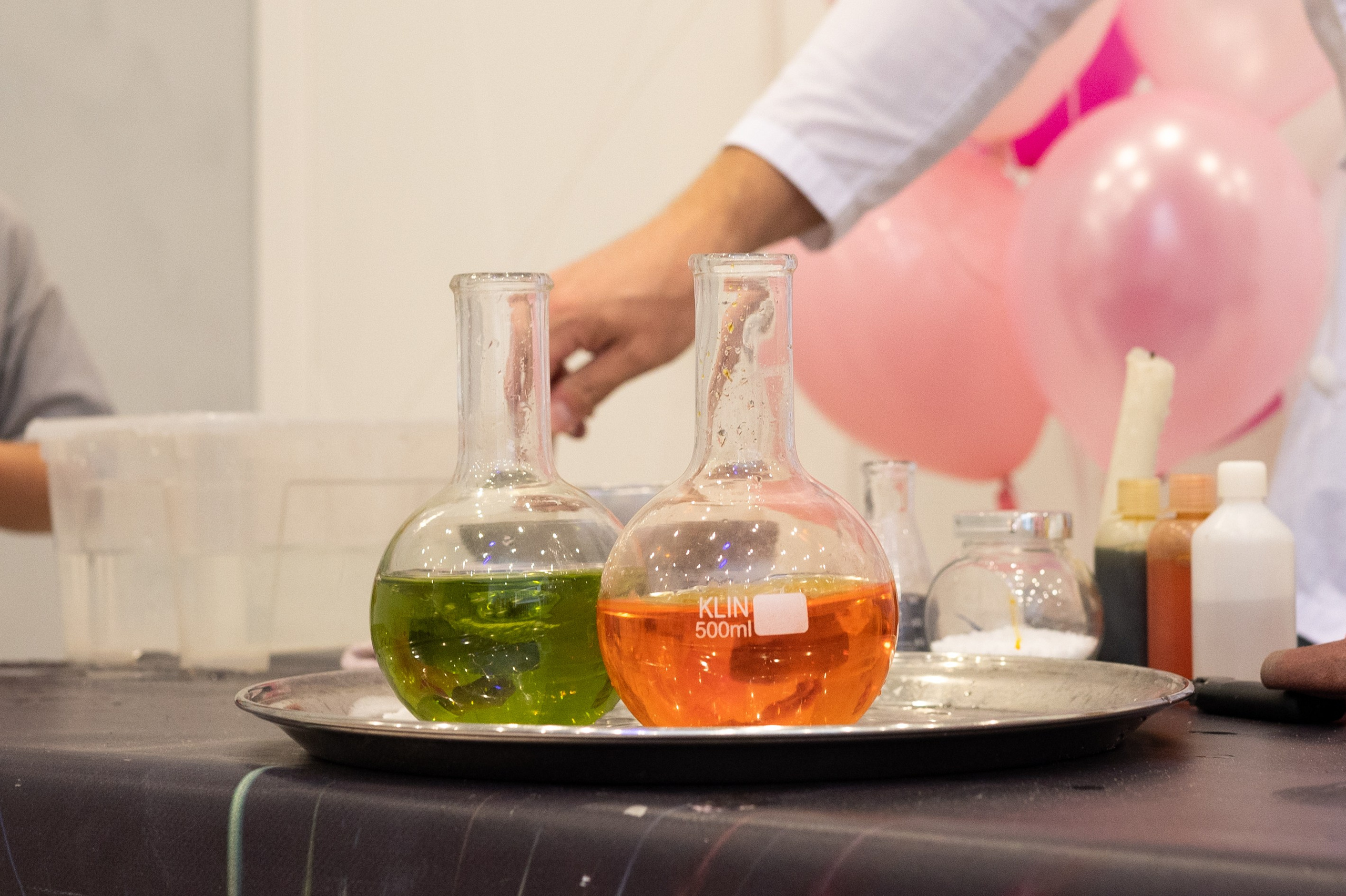 День открытых дверей. Фотограф в Санкт-Петербурге Anna Balashkova