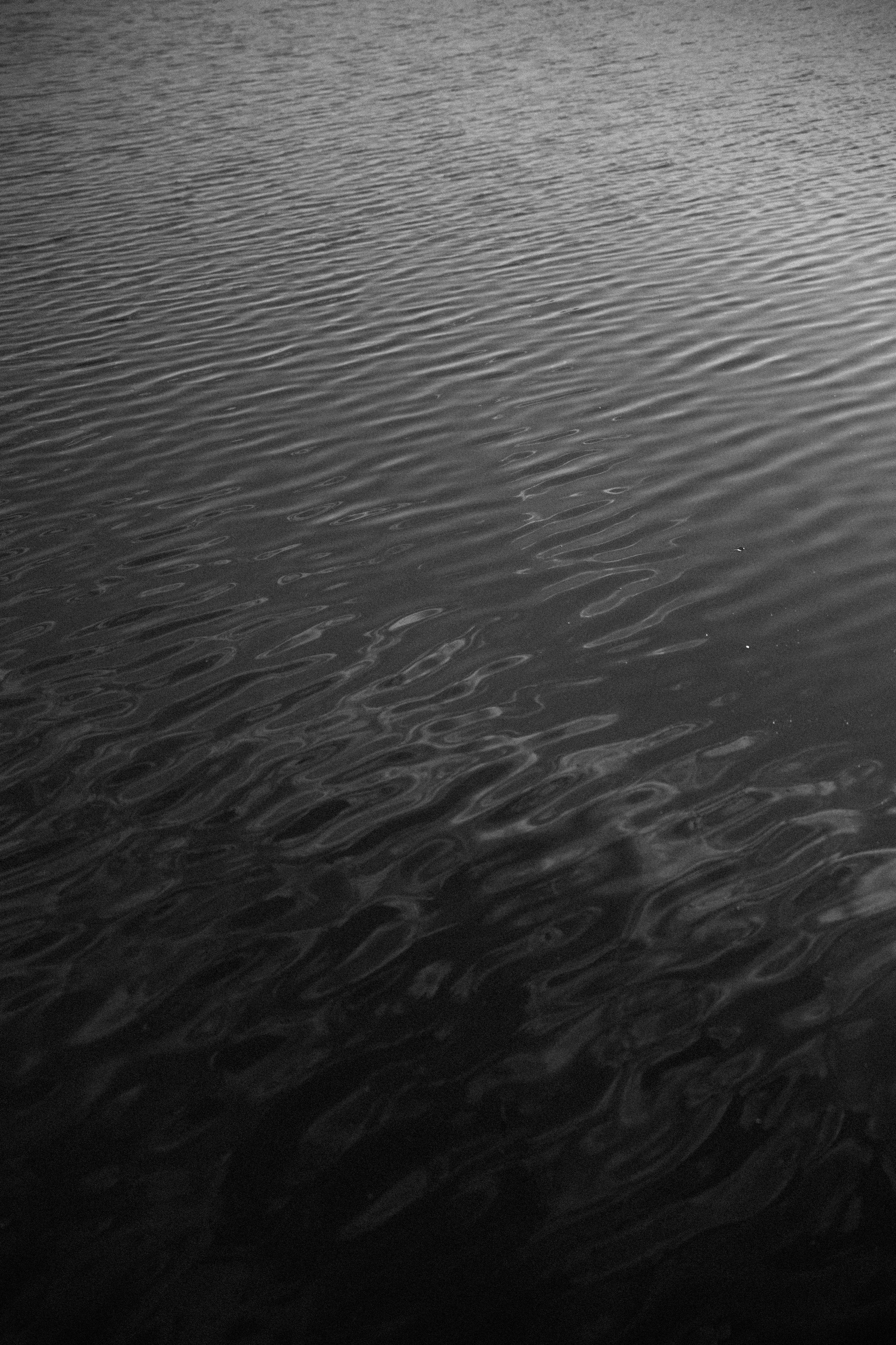 Ирина & Евгений. Yura Rush Свадебный фотограф Тюмень