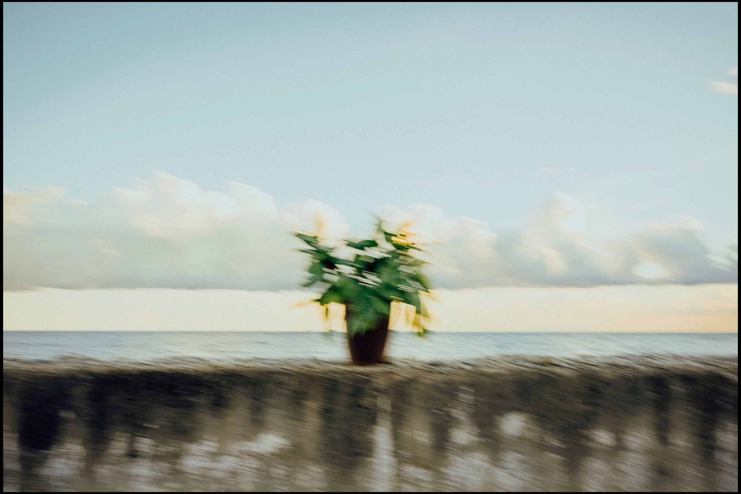 Film esthetic. VISUAL ARTIST · KRONGAUZ ANASTASIA