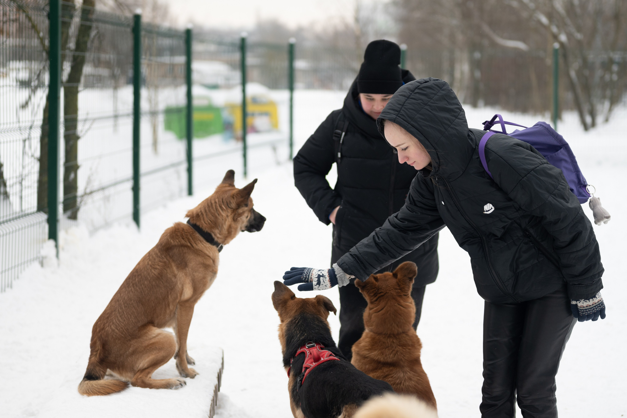 Приют «Искра». Фотограф и видеограф в Москве Анна Матюхина
