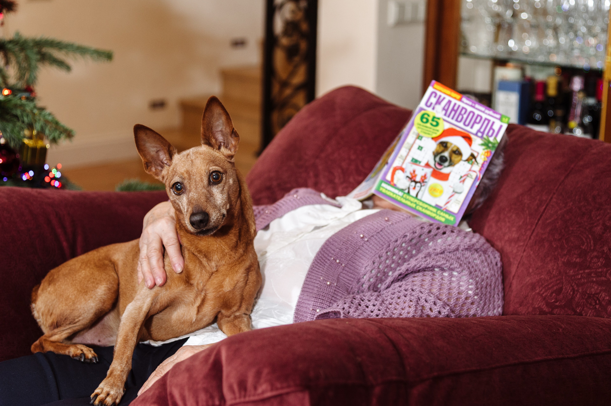 Общие увлечения на семейной фотосессии дома. Семейный фотограф в Москве Елена Снегирева