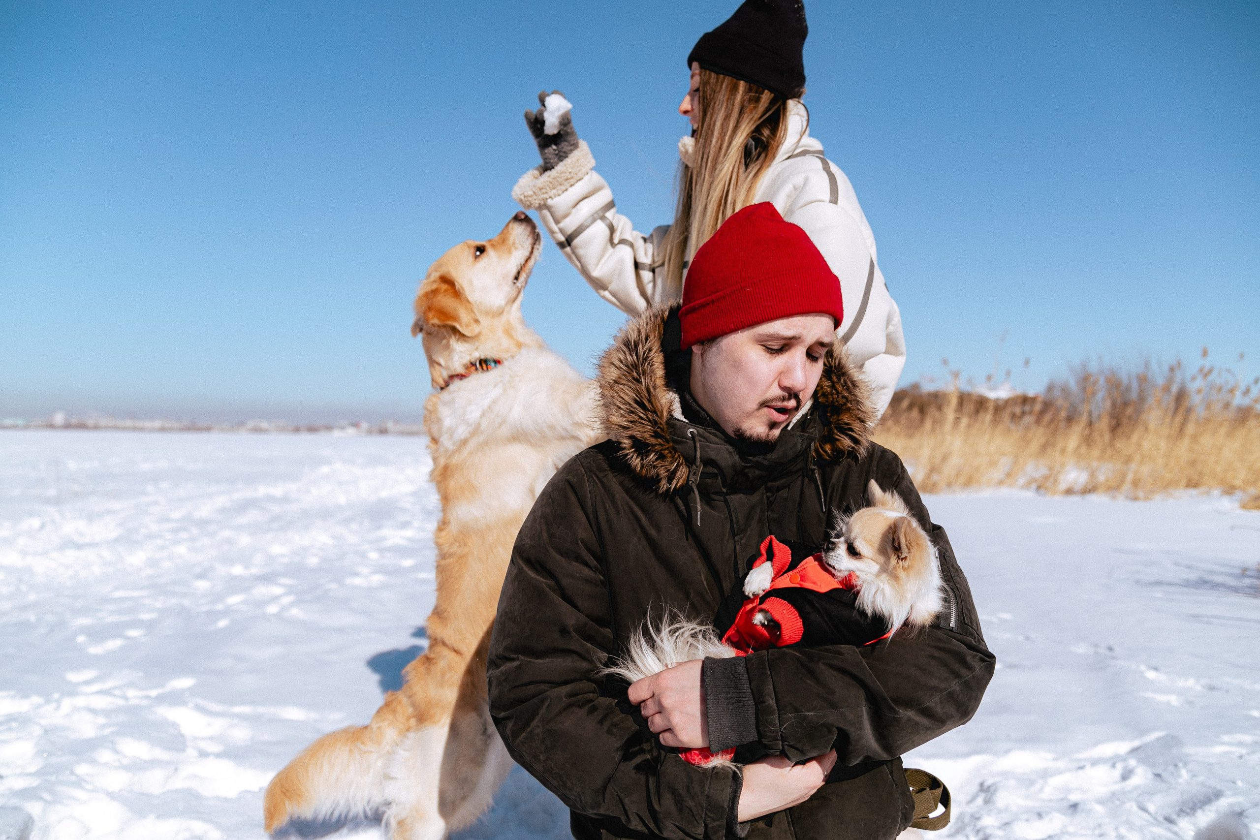 Настя и Лёша. Крылова Светлана Фотограф Челябинск