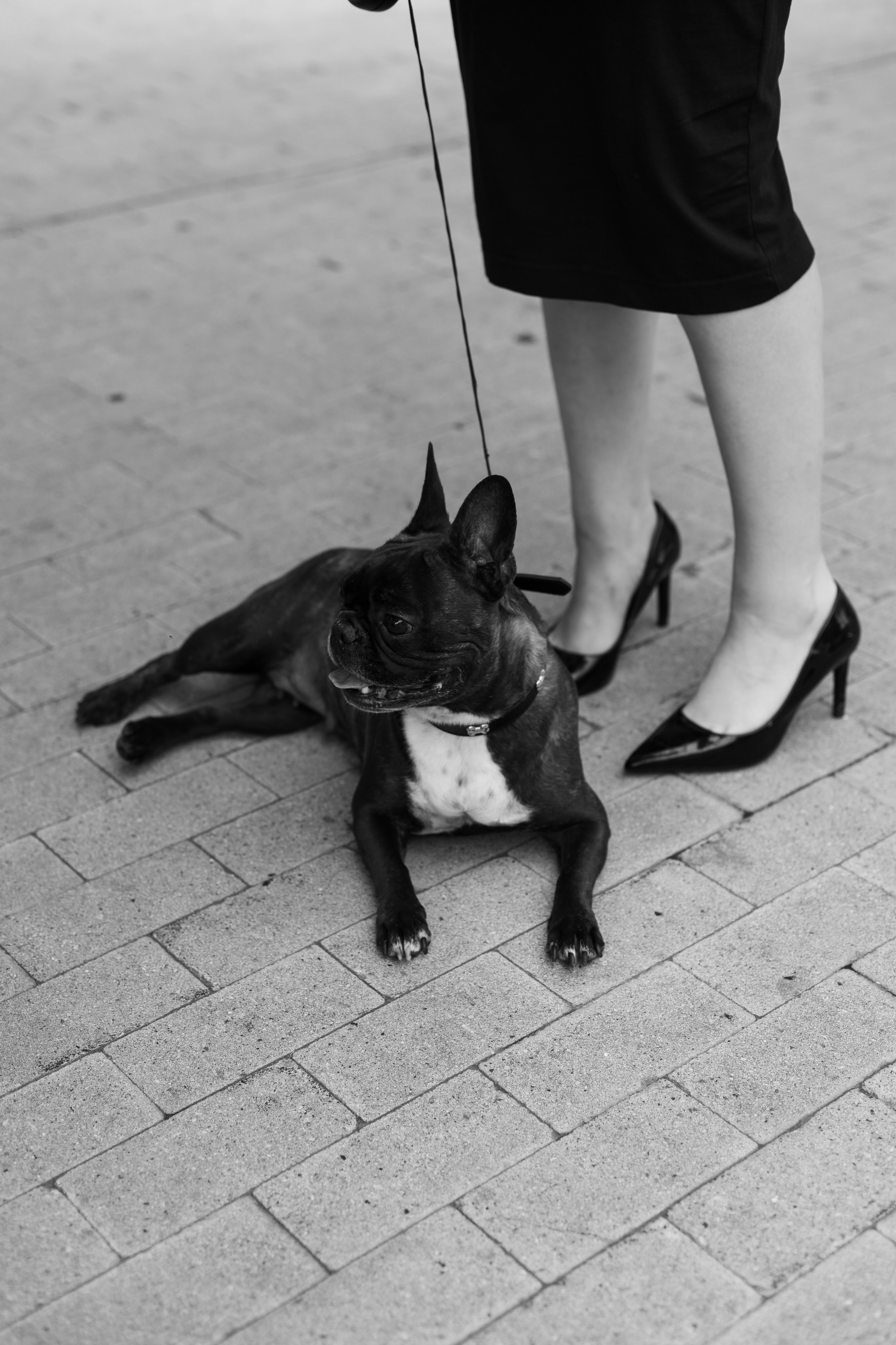 Индивидуальная съёмка. Фотограф Анастасия Бобылева, Москва и Московская область