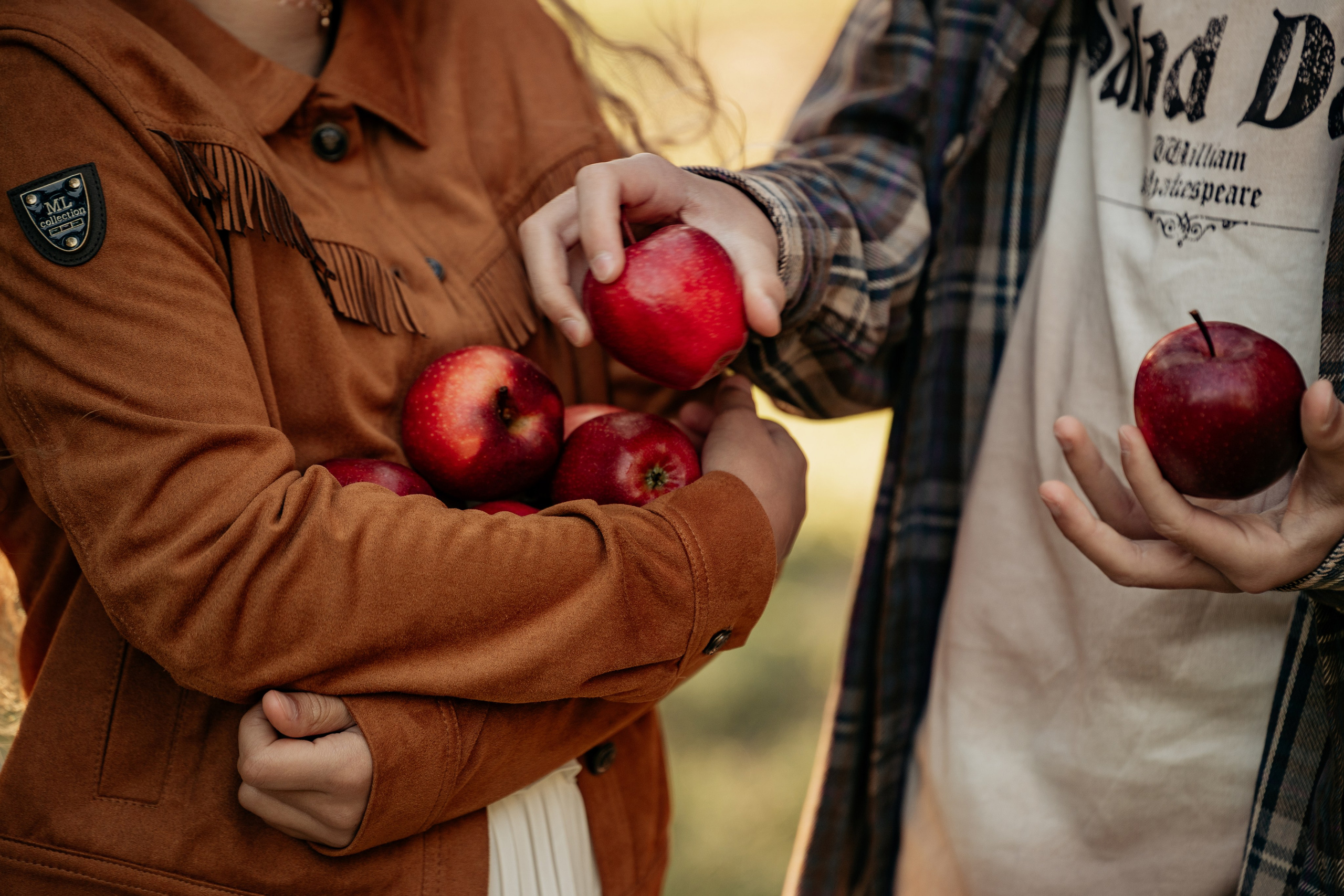  Фотосессия «Сбор урожая» в Анапе от фотографа Анапа. Мама с детьми собирают яблоки на ферме.