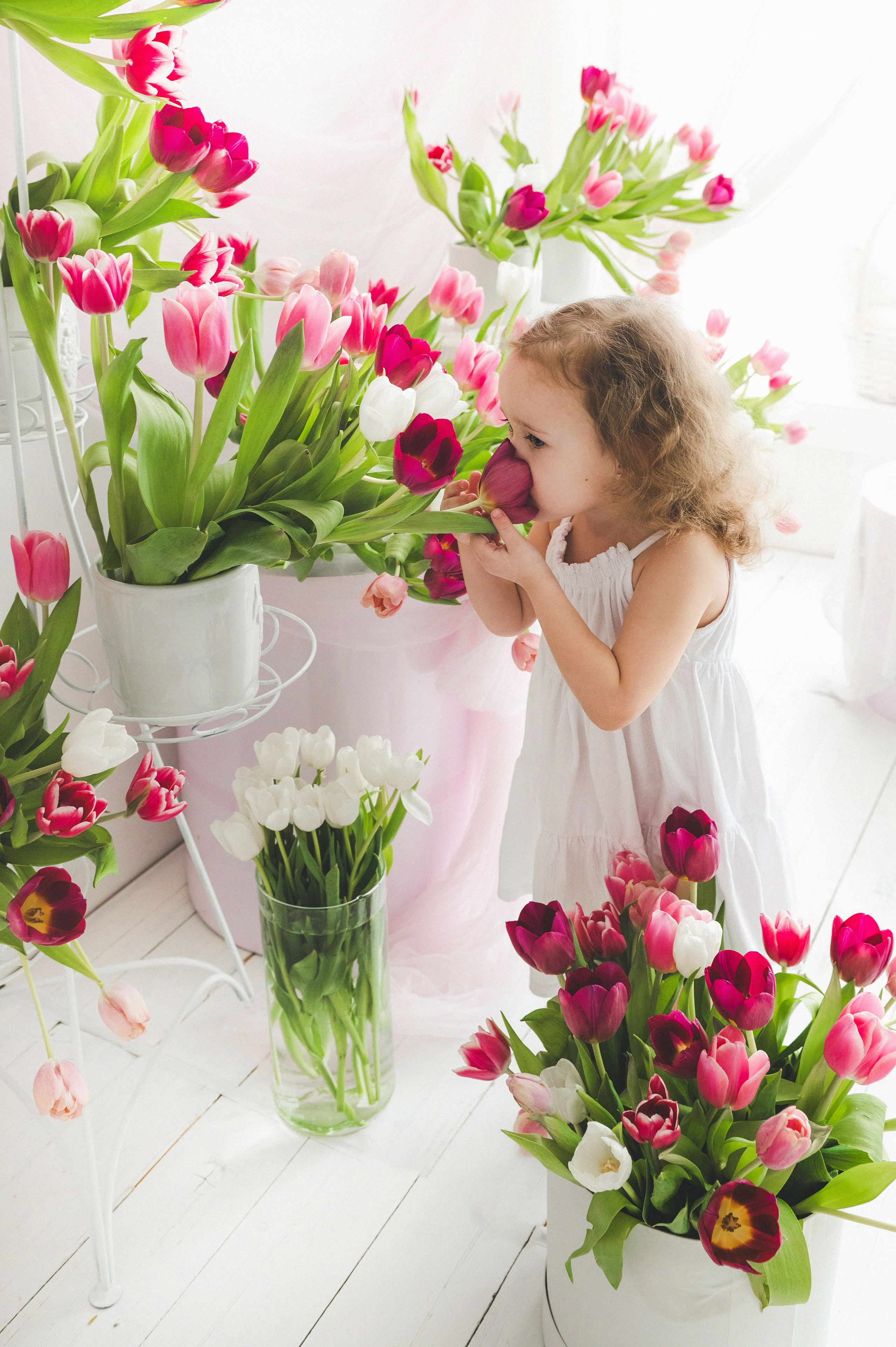 Тюльпаны. Фотограф новорожденных и детей в Барнауле — Екатерина Шапкина