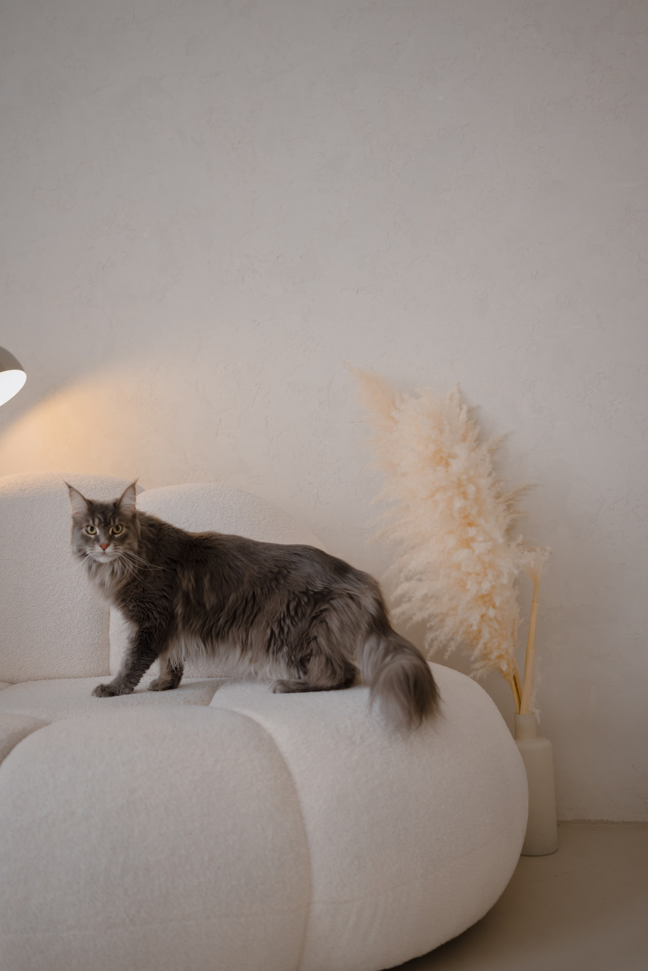 1+1=3. Свадебный фотограф Уфа Дарья Насырова