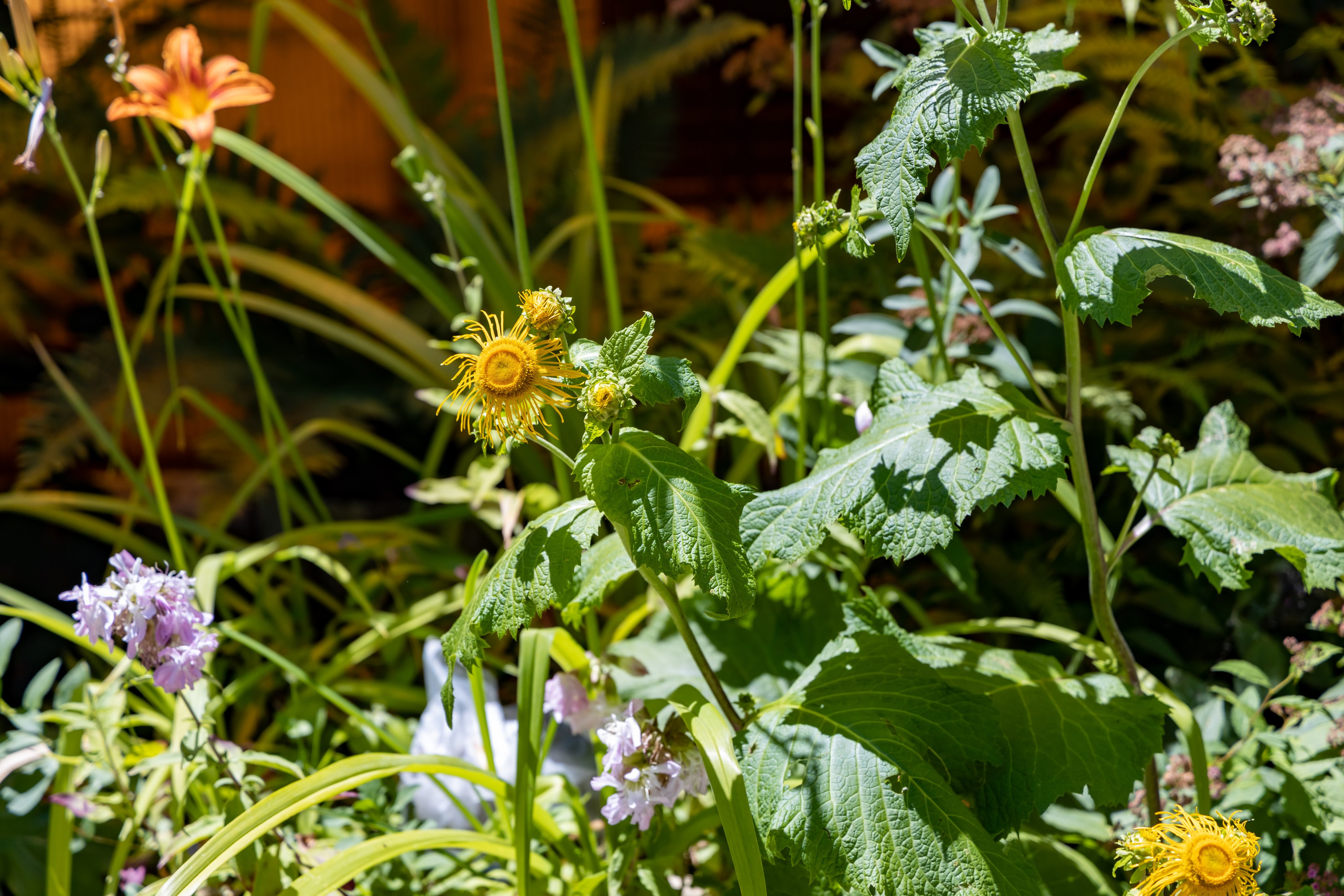 Сочи. Солох Аул. Репортажный, семейный и студийный фотограф в Москве Демин Алексей