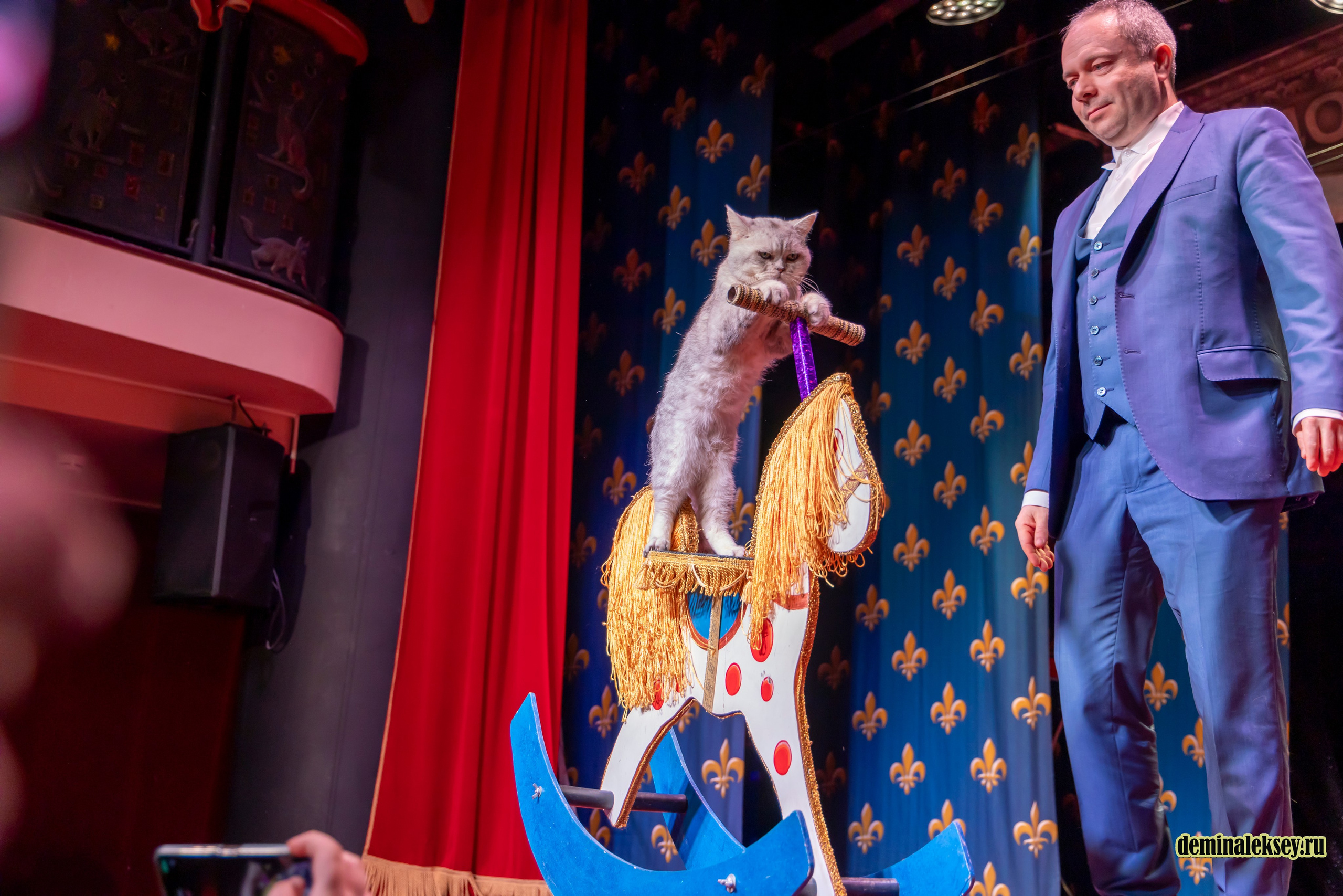 Театр кошек Куклачева 26 февраля 2025. Репортажный, семейный и студийный фотограф в Москве Демин Алексей