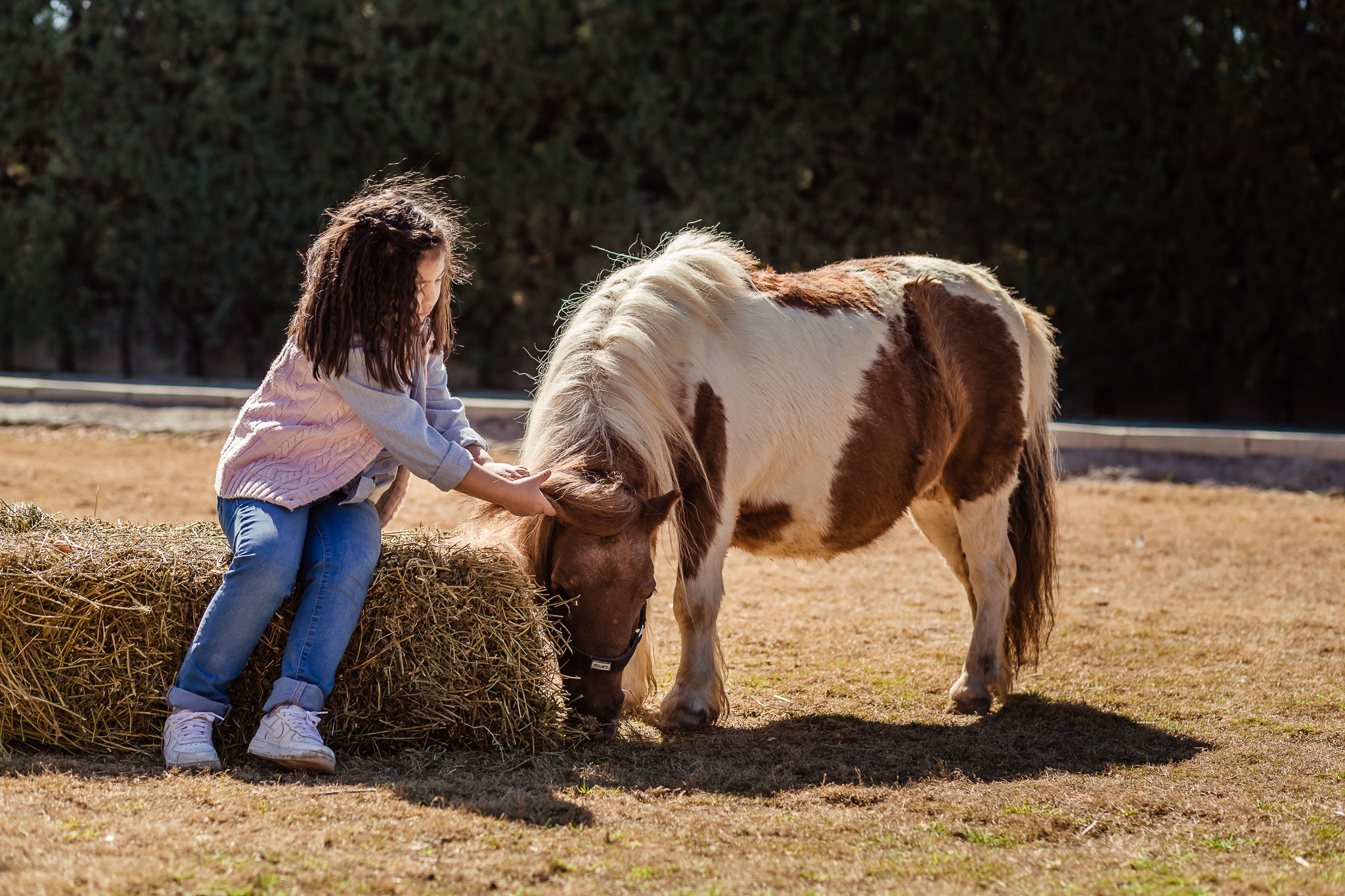 Wonderful day at the farm in Urla. Professional family and children’s photographer in Izmir Irina Eron
