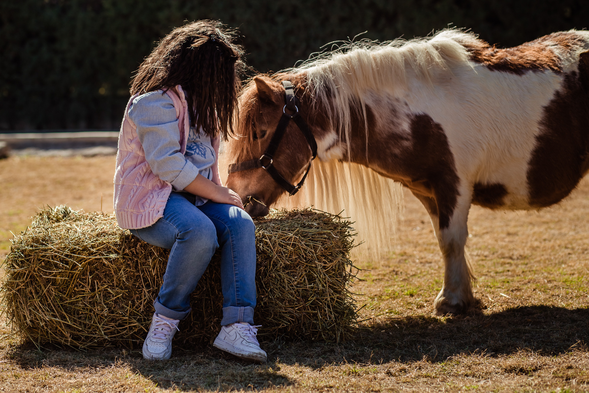 Wonderful day at the farm in Urla. Professional family and children’s photographer in Izmir Irina Eron