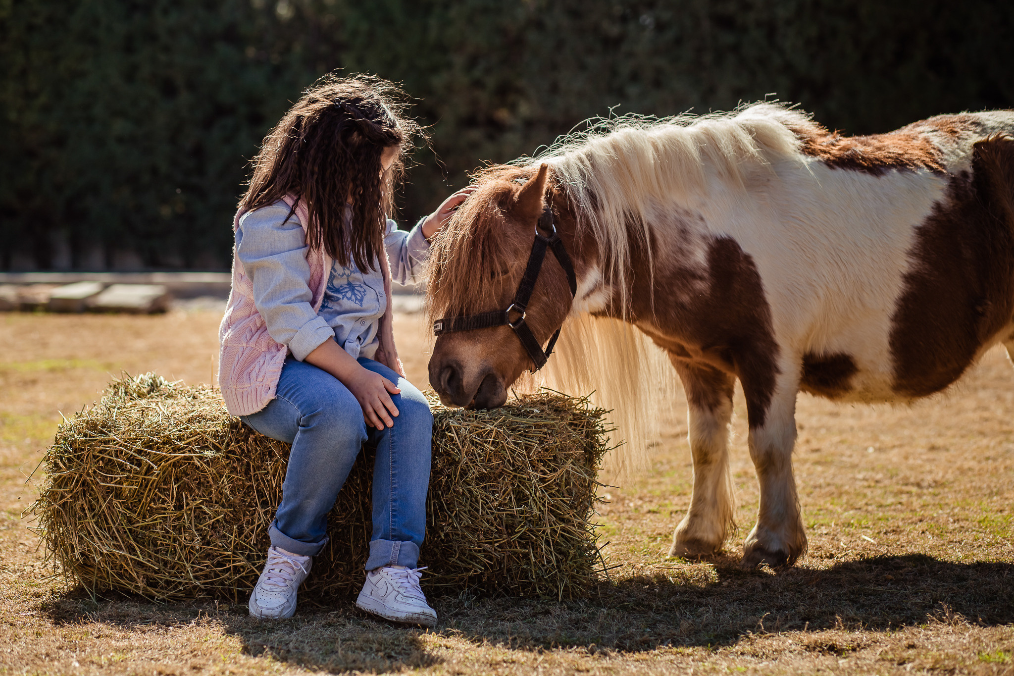 Wonderful day at the farm in Urla. Professional family and children’s photographer in Izmir Irina Eron
