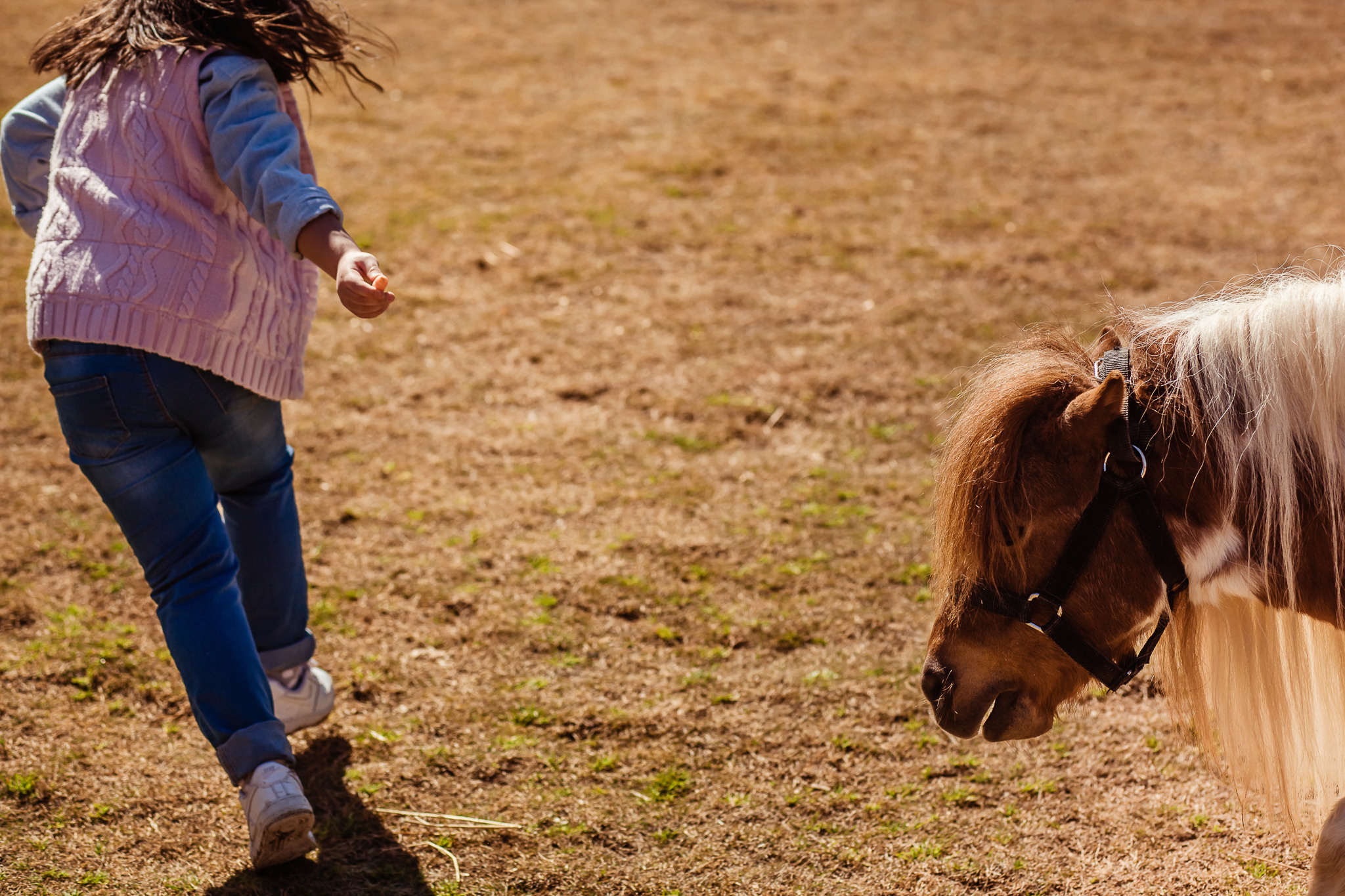 Wonderful day at the farm in Urla. Professional family and children’s photographer in Izmir Irina Eron