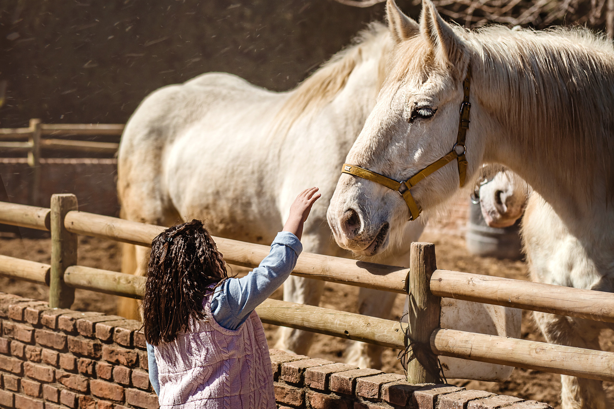 Wonderful day at the farm in Urla. Professional family and children’s photographer in Izmir Irina Eron
