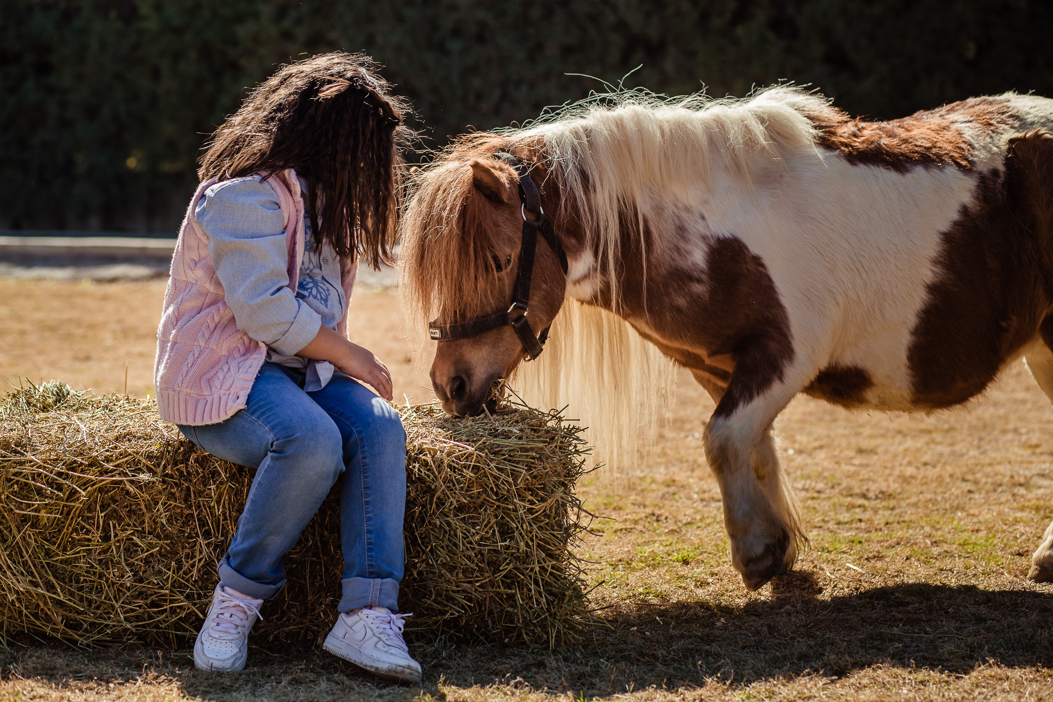 Wonderful day at the farm in Urla. Professional family and children’s photographer in Izmir Irina Eron