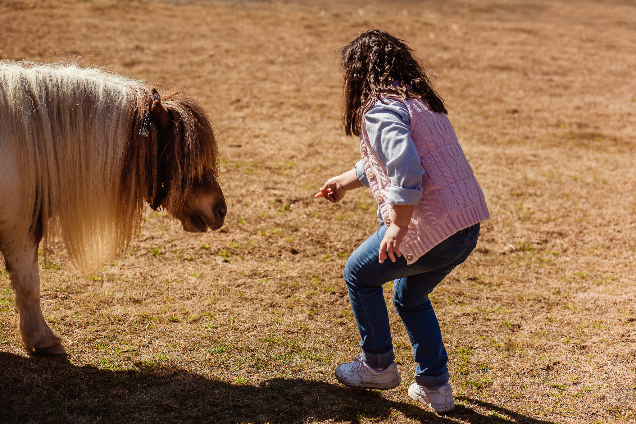 Wonderful day at the farm in Urla. Professional family and children’s photographer in Izmir Irina Eron