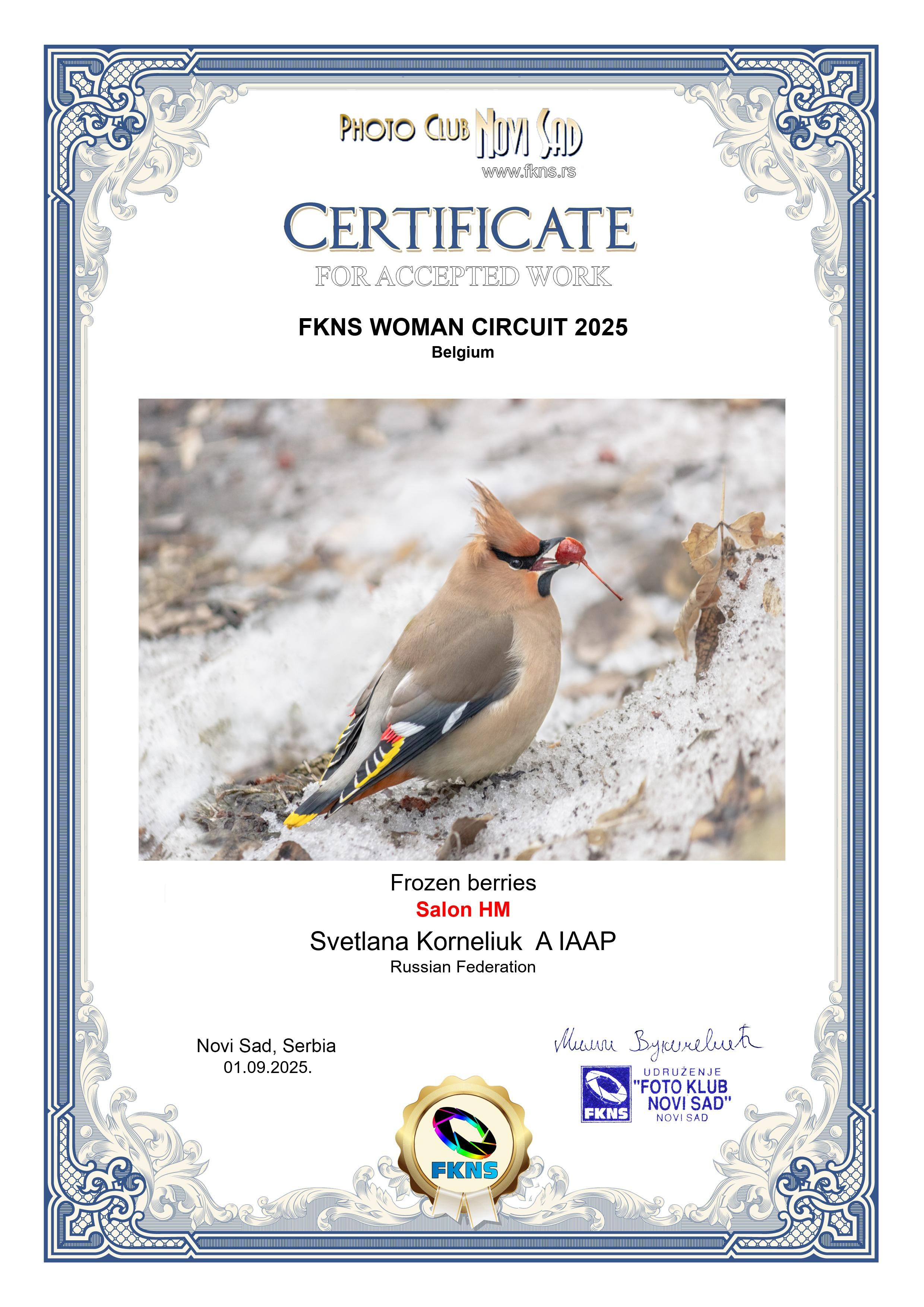 Сертификат с результатами участия в международном конкурсе FKNS WOMAN CIRCUIT 2025