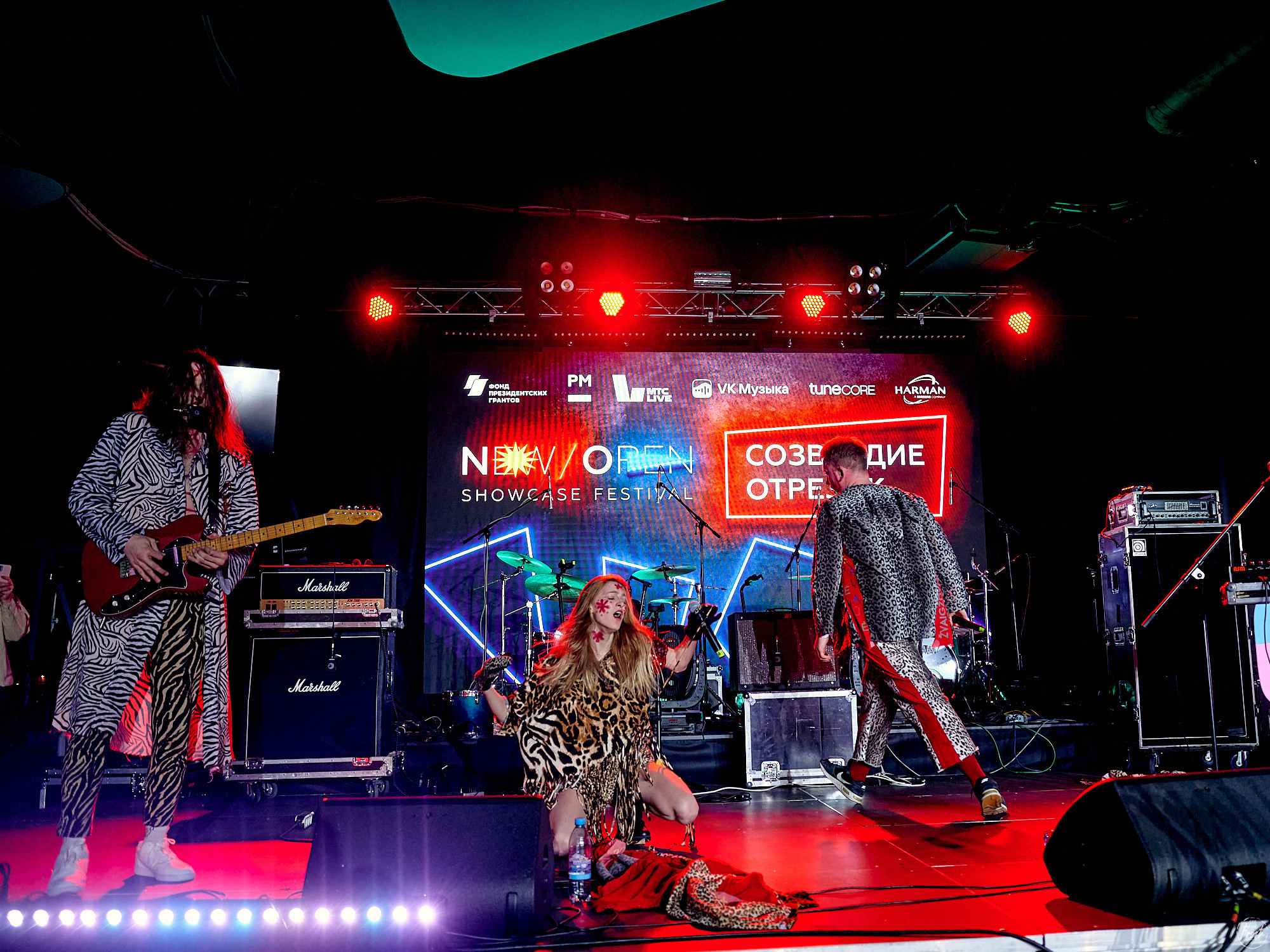 Созвездие Отрезок. Фотографии отовсюду и обо всем