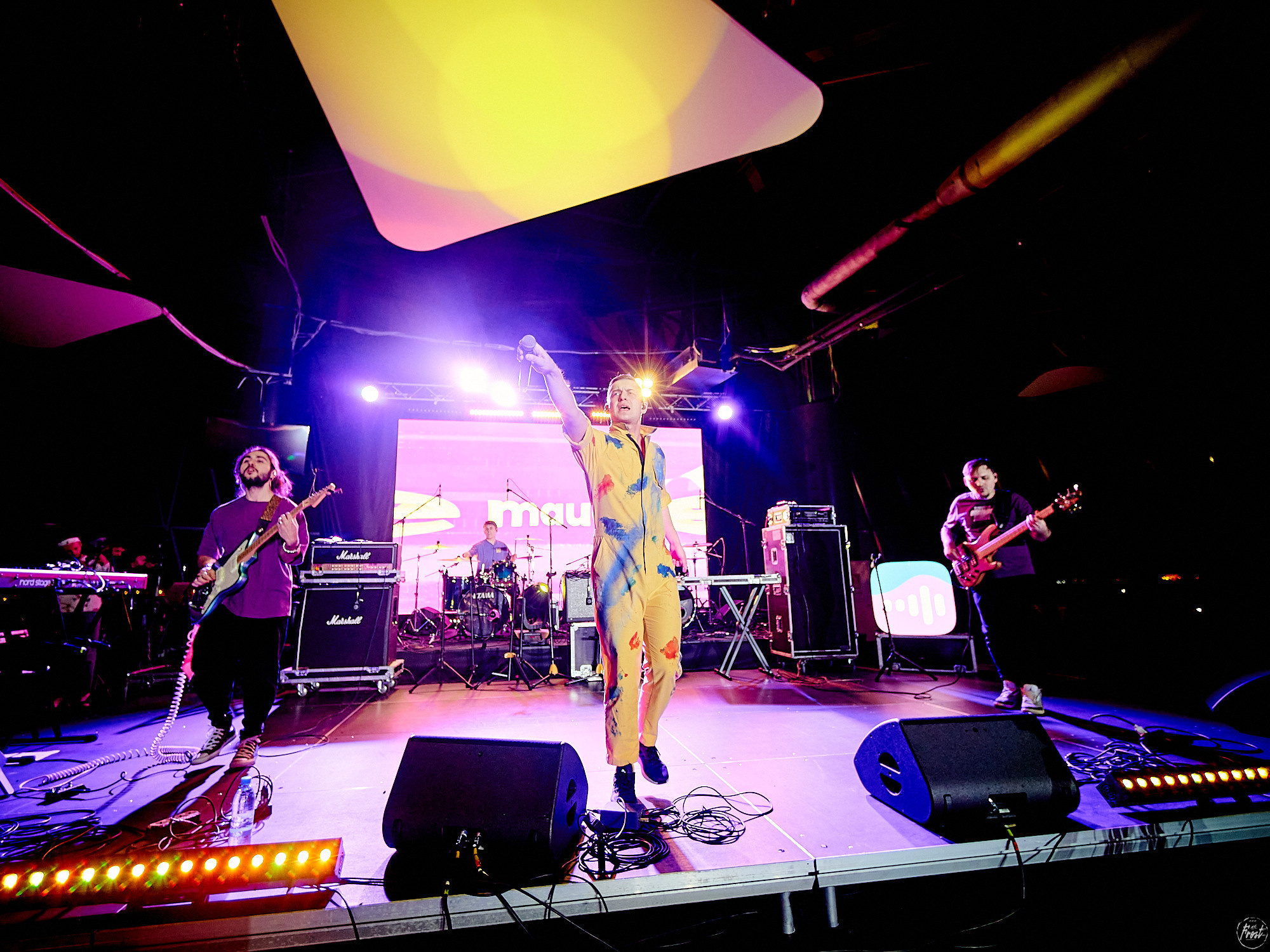 The Maugleez. Фотографии отовсюду и обо всем