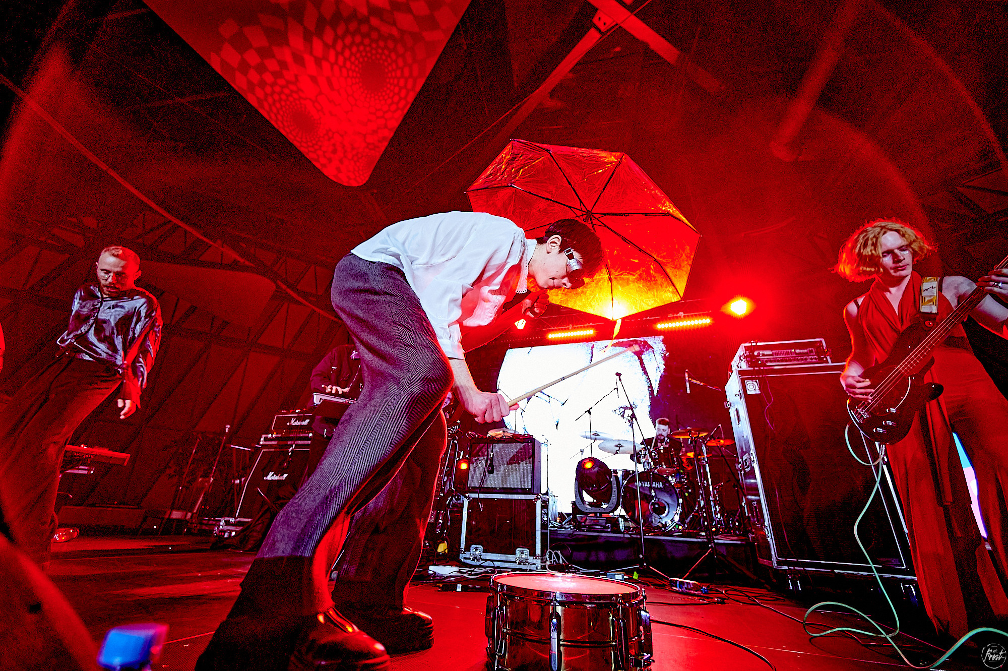 The OMY. Фотографии отовсюду и обо всем