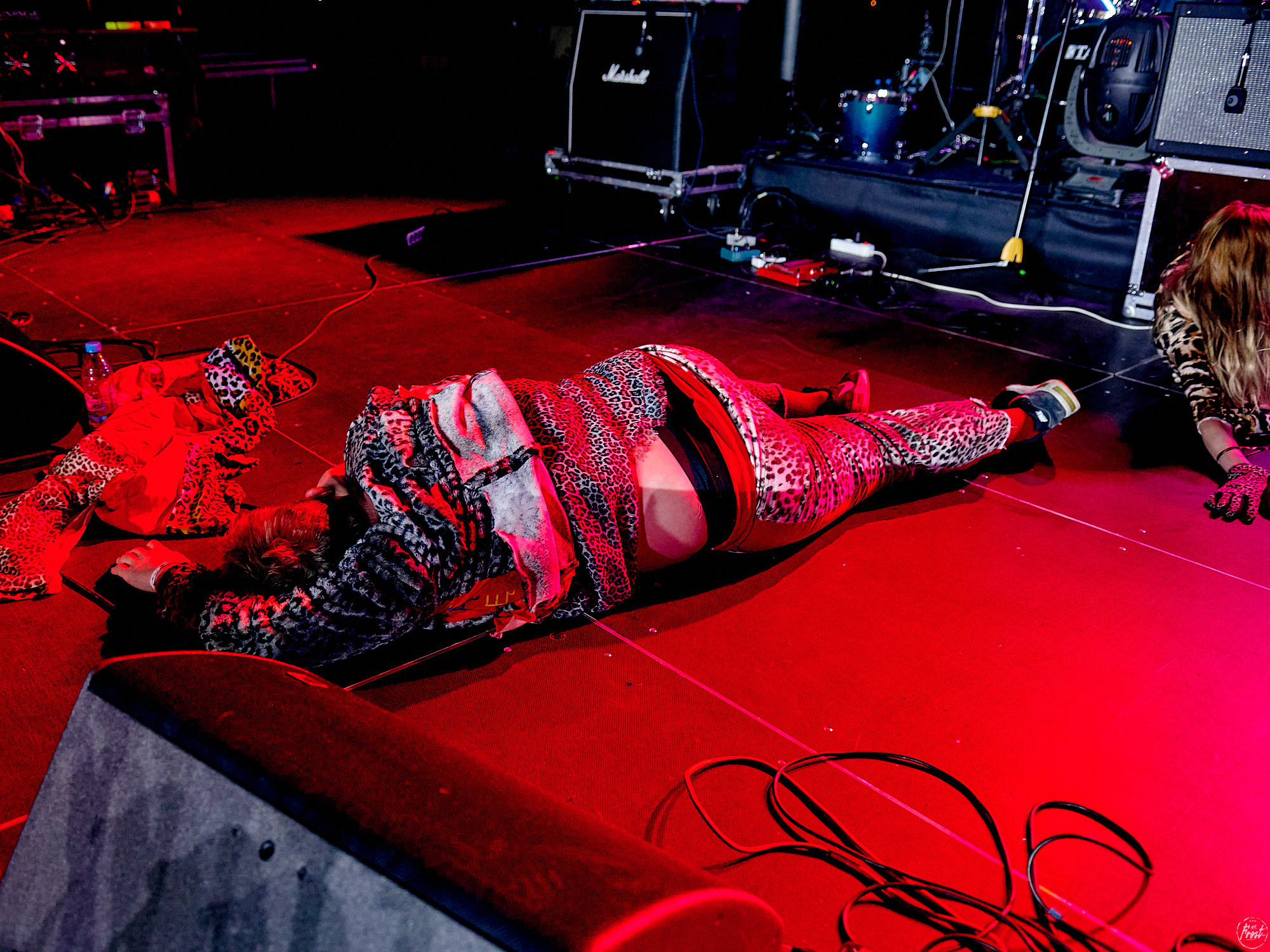 Созвездие Отрезок. Фотографии отовсюду и обо всем