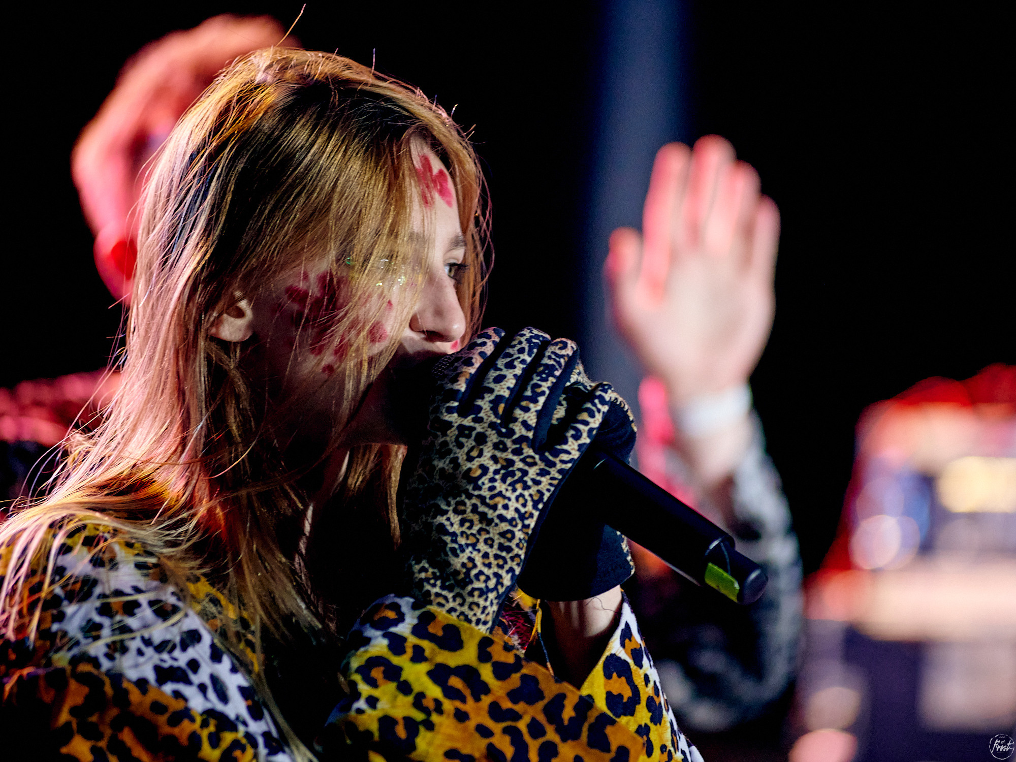 Созвездие Отрезок. Фотографии отовсюду и обо всем