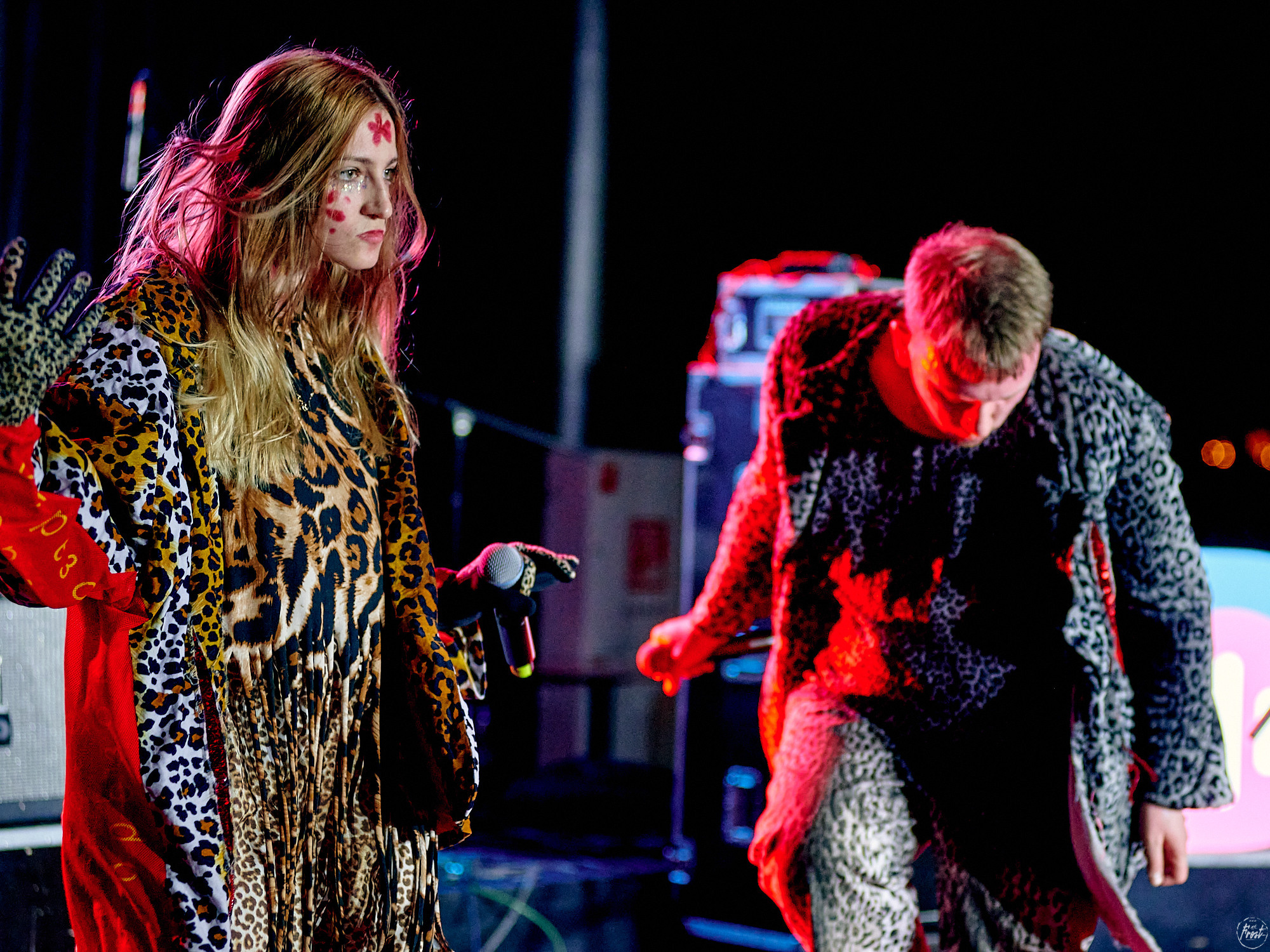 Созвездие Отрезок. Фотографии отовсюду и обо всем