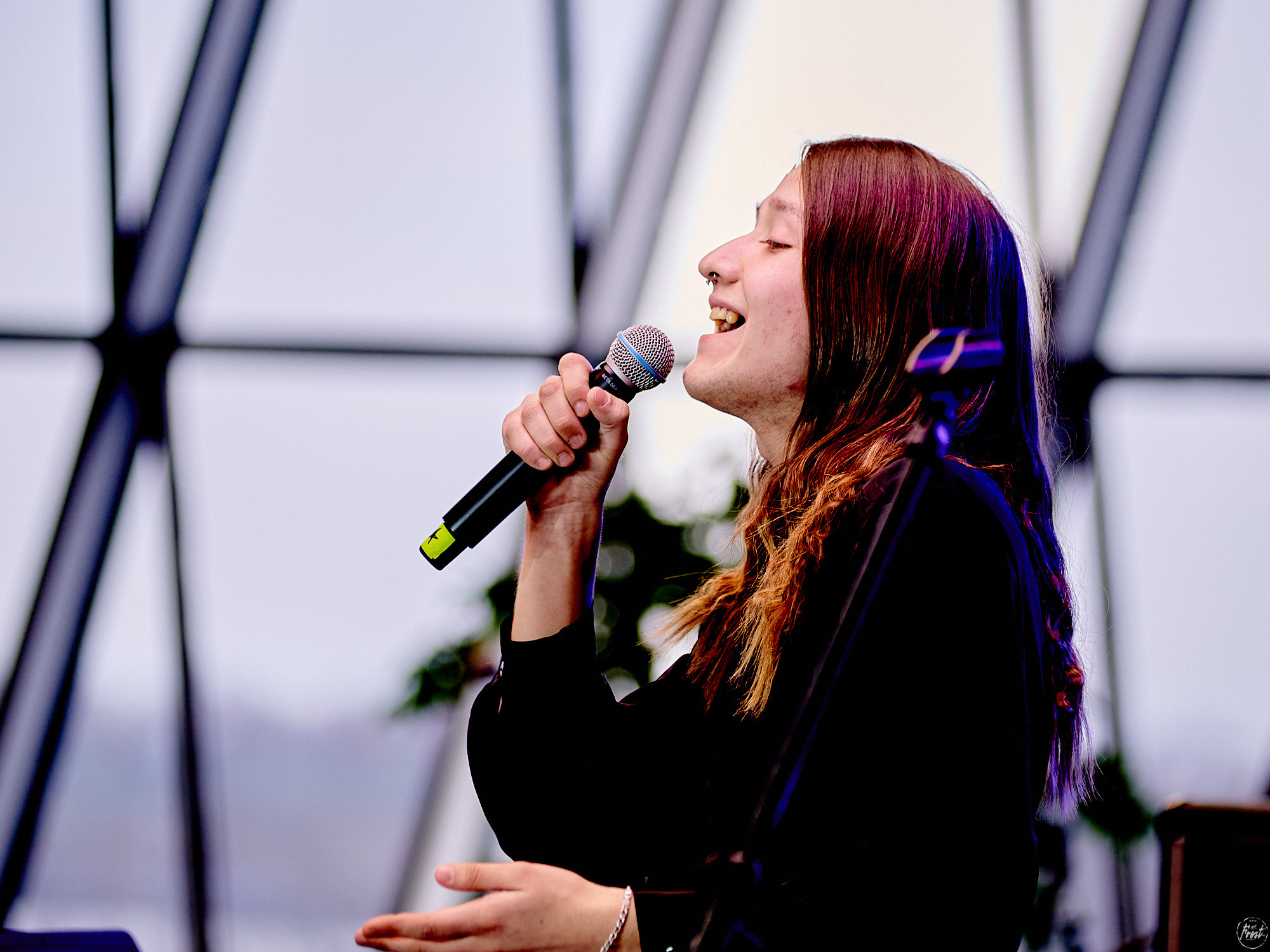 Кирилл Север. Фотографии отовсюду и обо всем