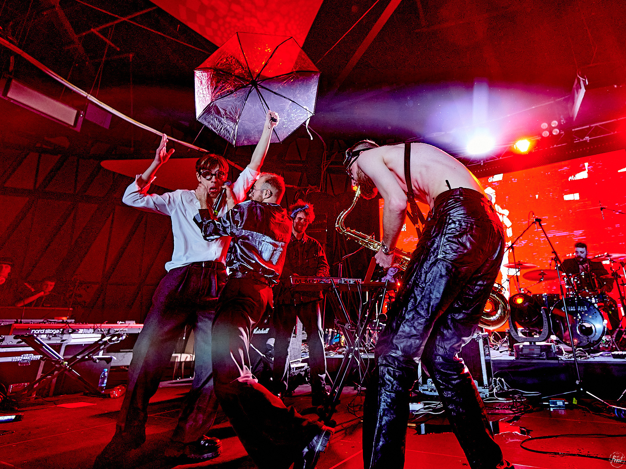 The OMY. Фотографии отовсюду и обо всем