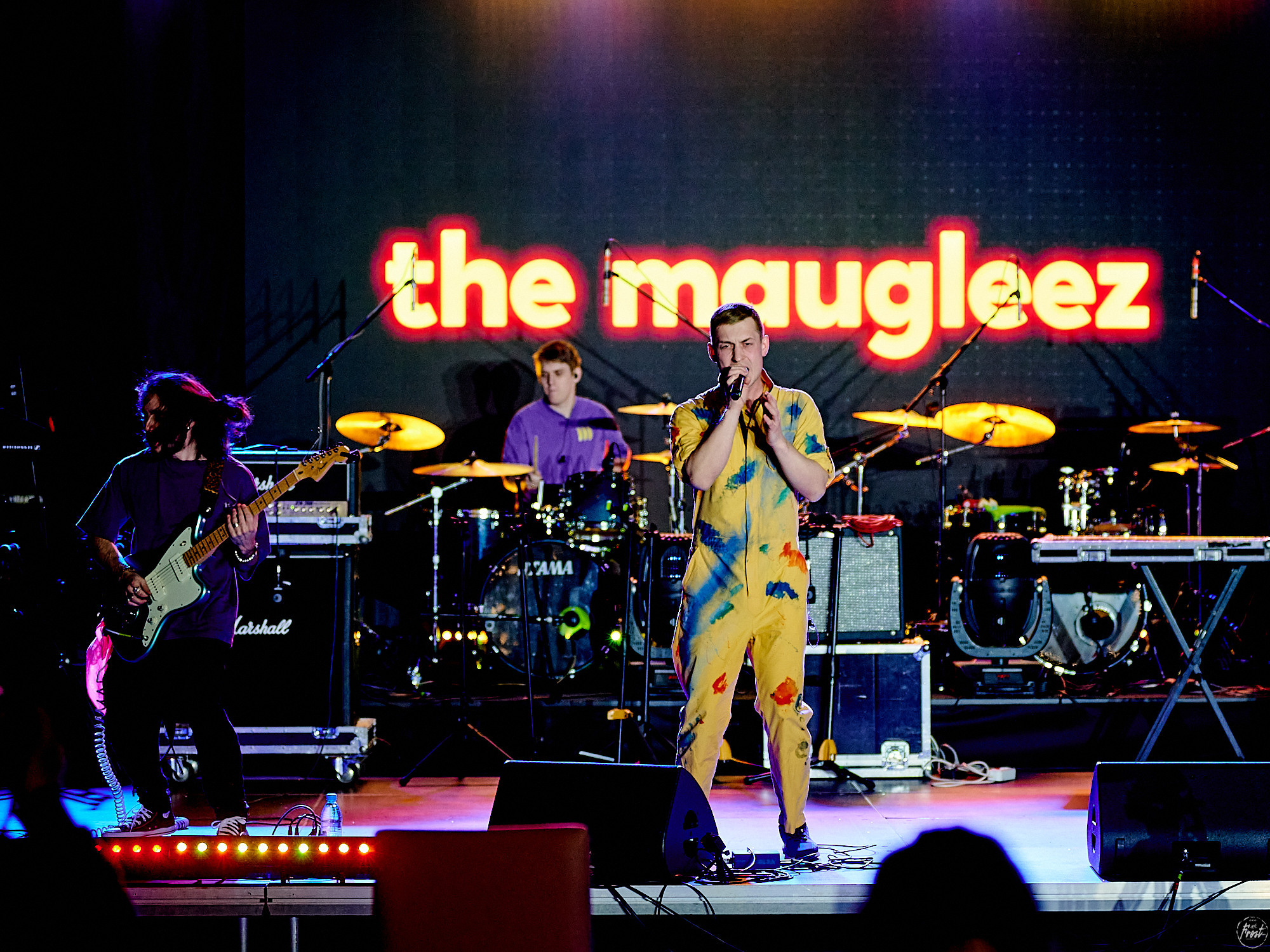 The Maugleez. Фотографии отовсюду и обо всем