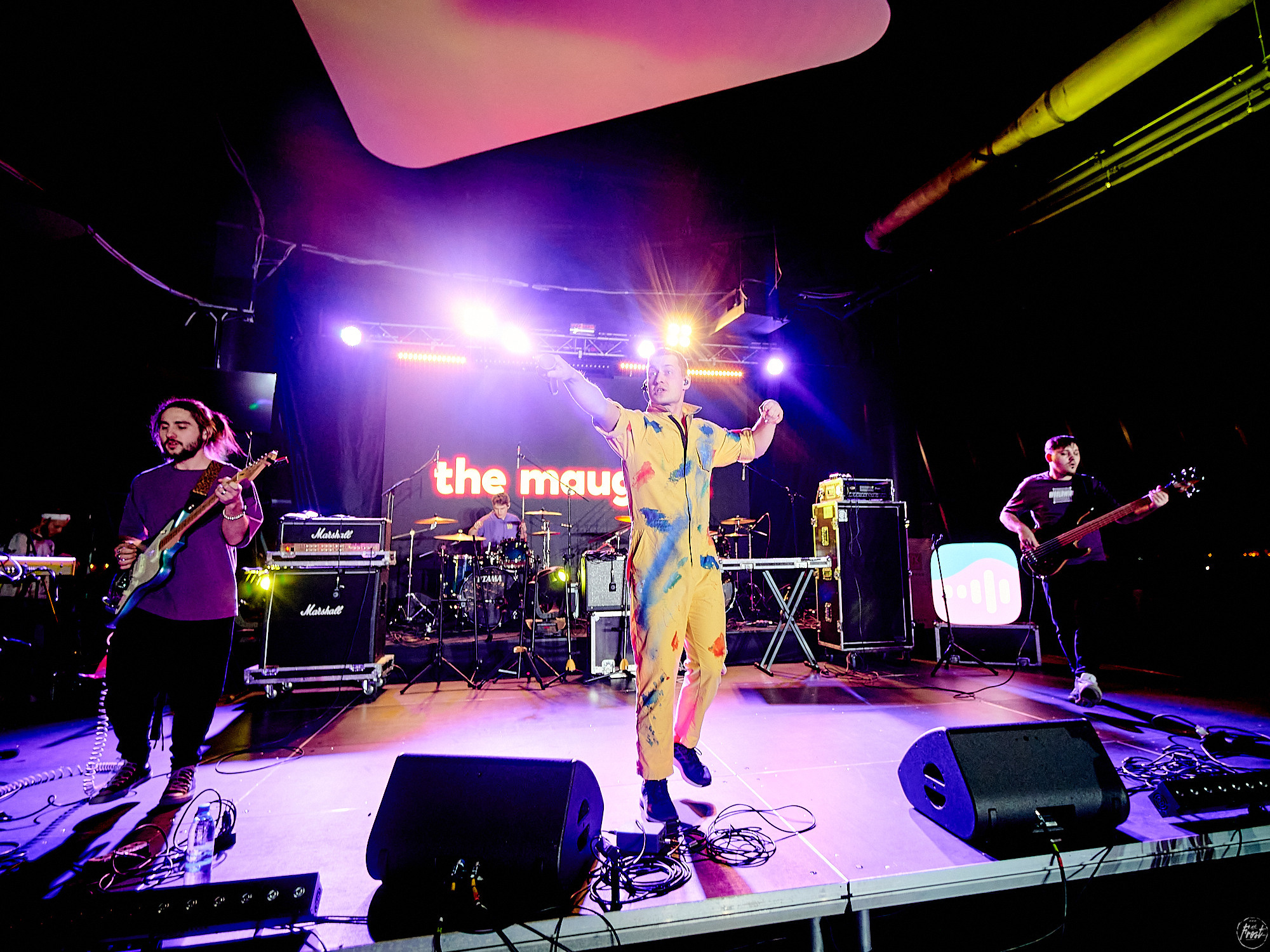 The Maugleez. Фотографии отовсюду и обо всем