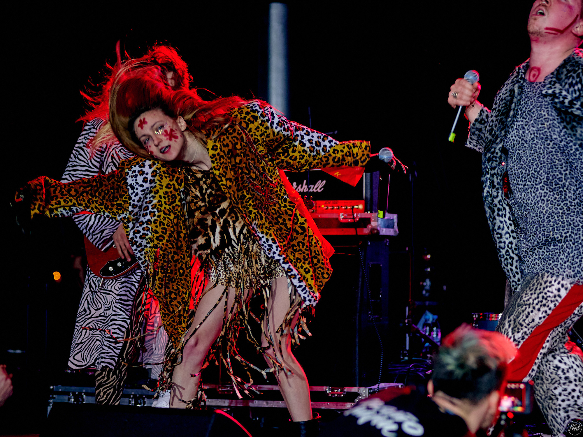 Созвездие Отрезок. Фотографии отовсюду и обо всем